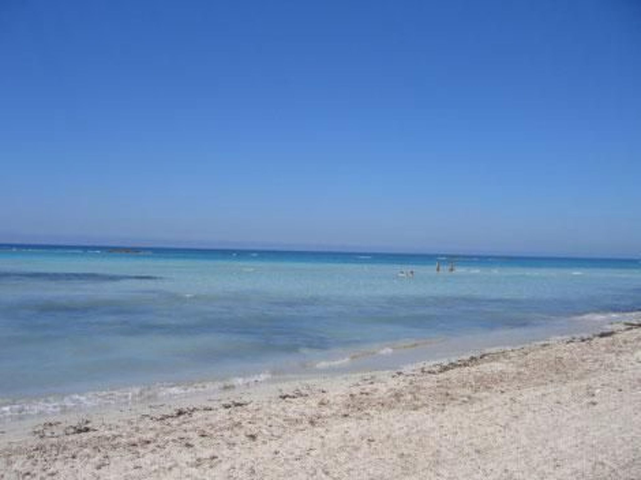 Apartment Zeus in Torre Mozza