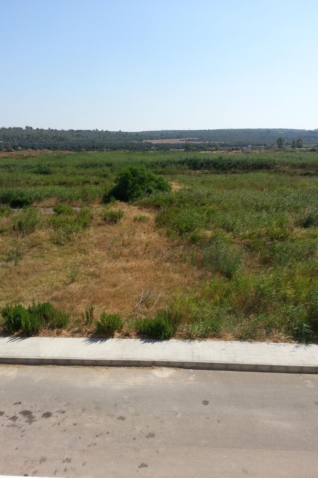 Apartment Zeus in Torre Mozza-Drinnen