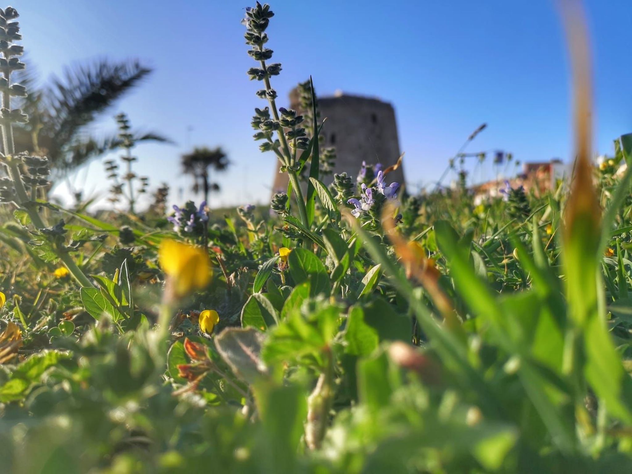 Apartment Zeus in Torre Mozza-Drinnen
