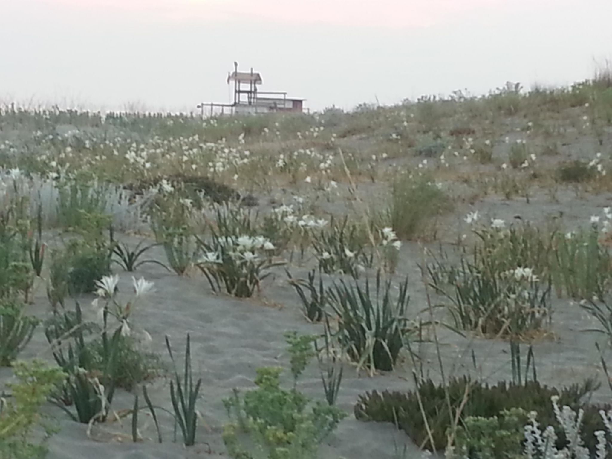 Apartment Zeus Apollo mit mölierter Terrasse-Binnen