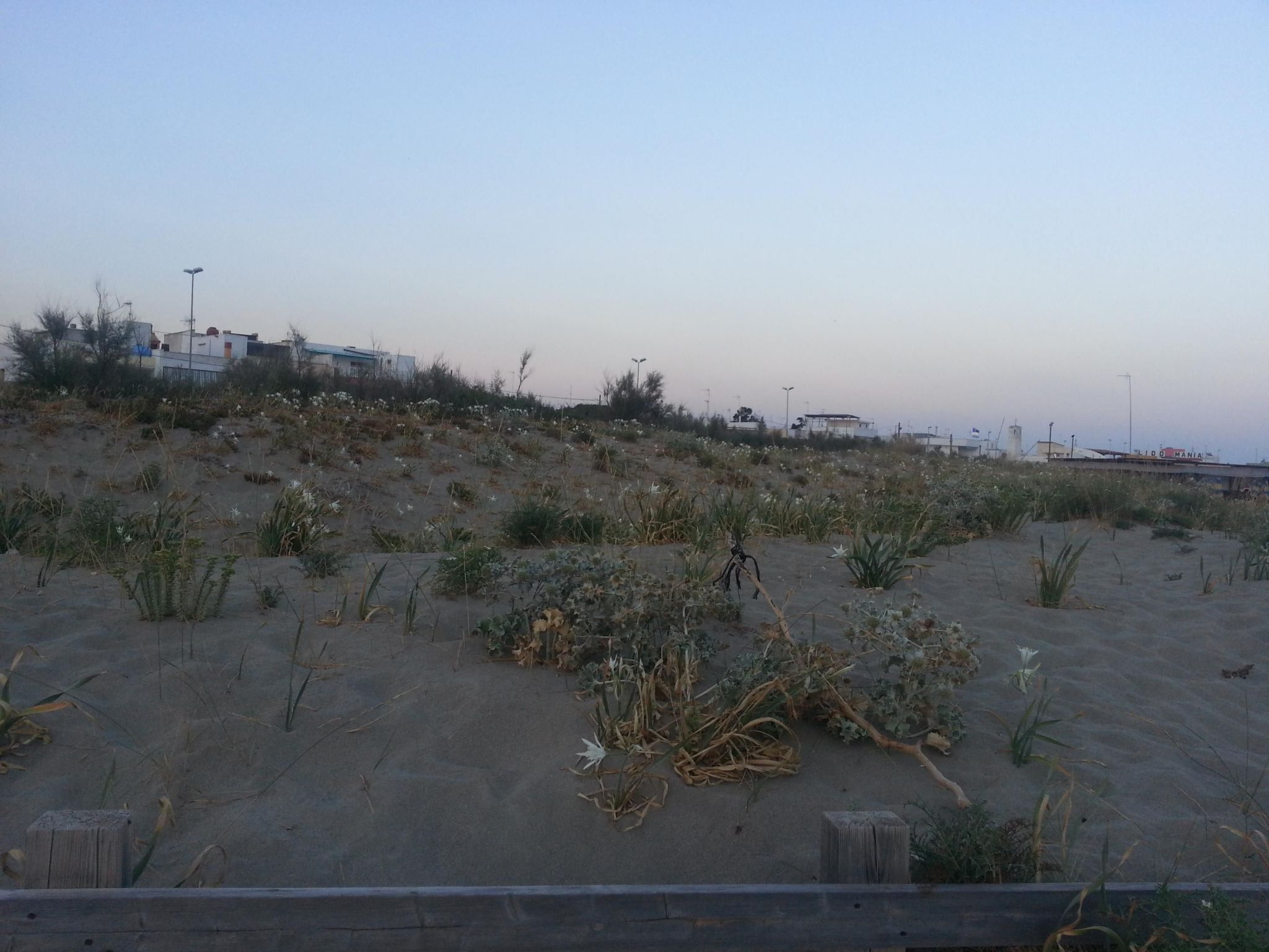 Apartment Zeus Apollo mit mölierter Terrasse-Binnen