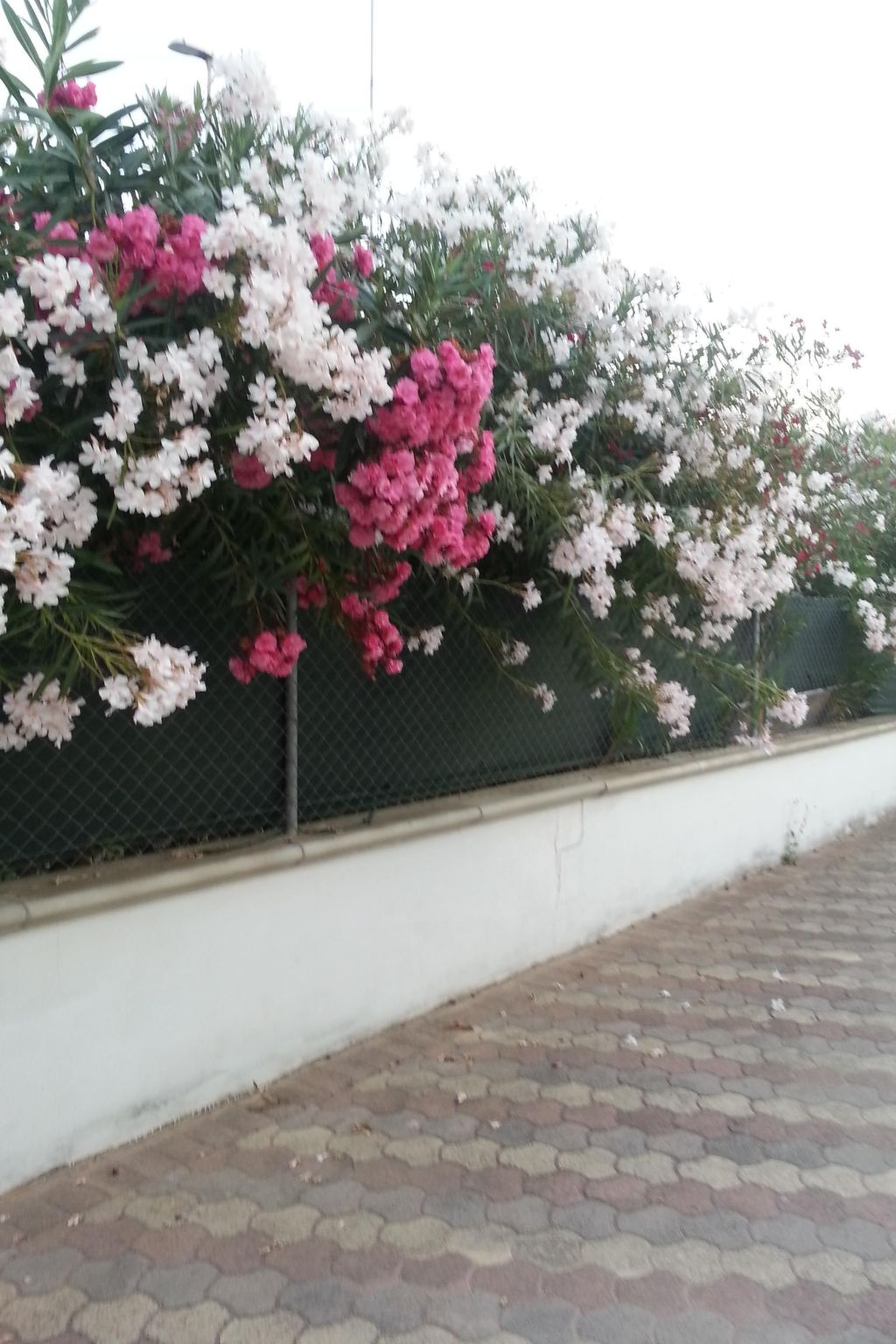 Apartment Zeus Apollo mit mölierter Terrasse-Binnen