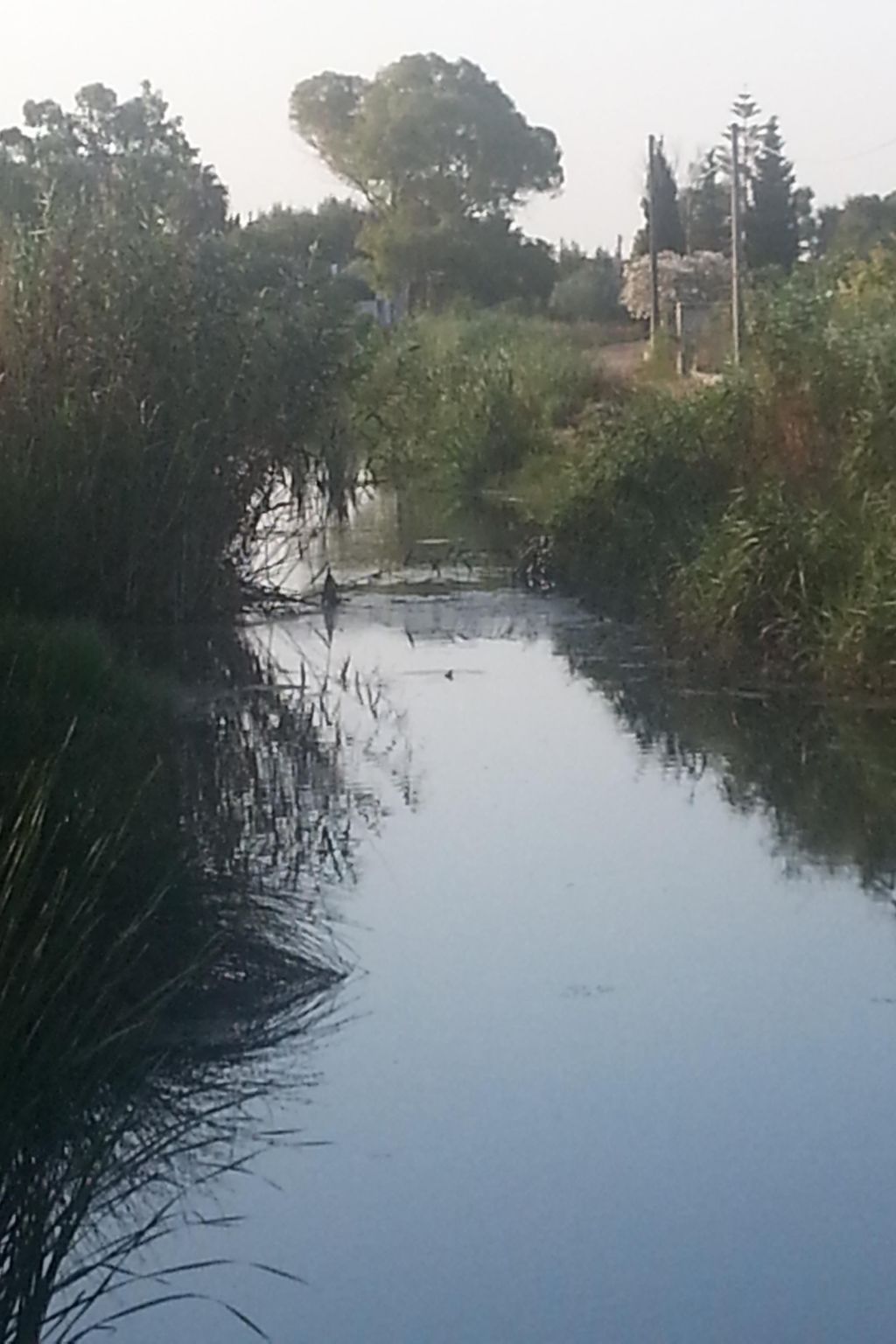 Apartment Zeus Apollo mit mölierter Terrasse