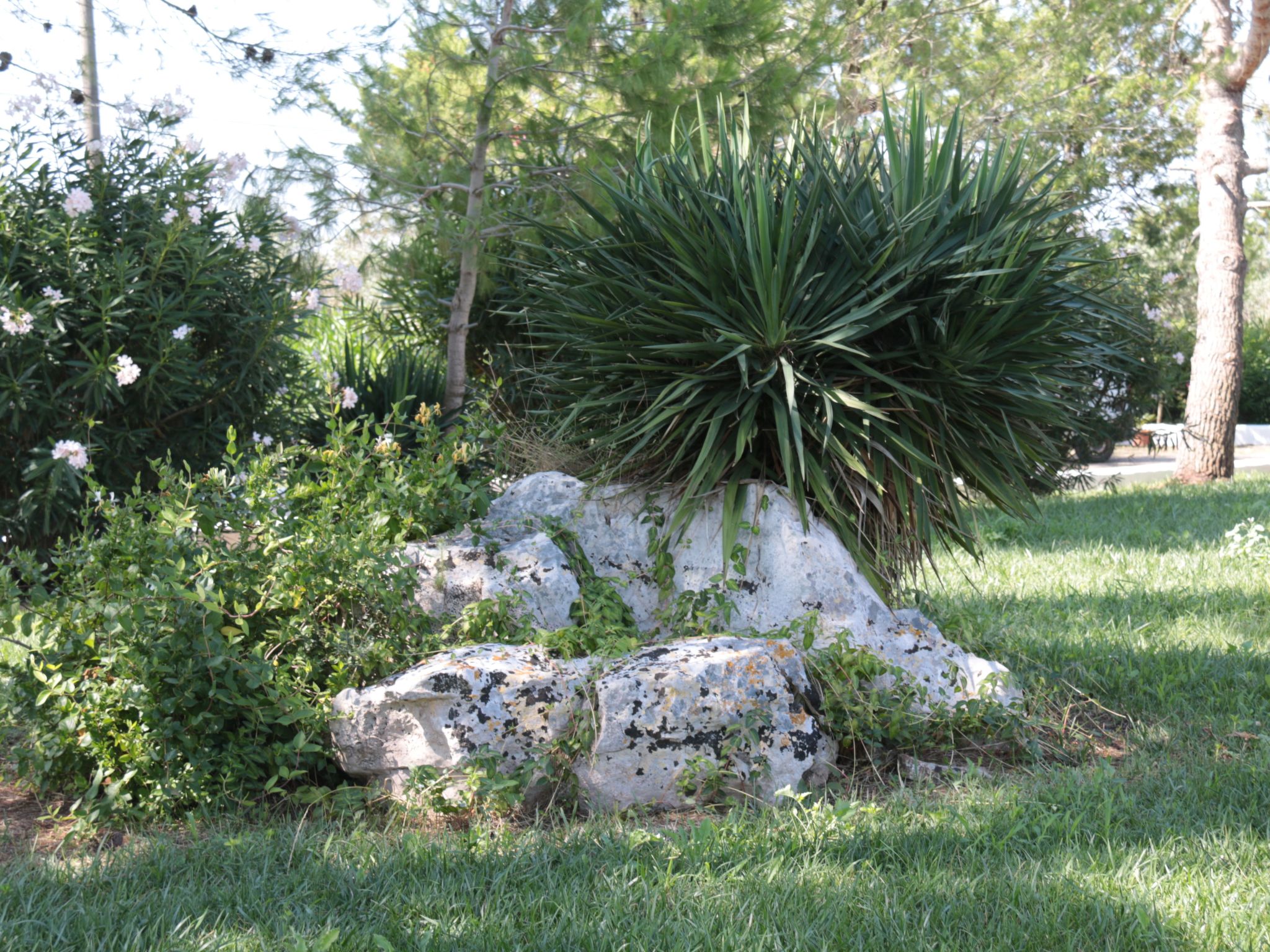 Landgut "Villa Vetti-Image-tags.info