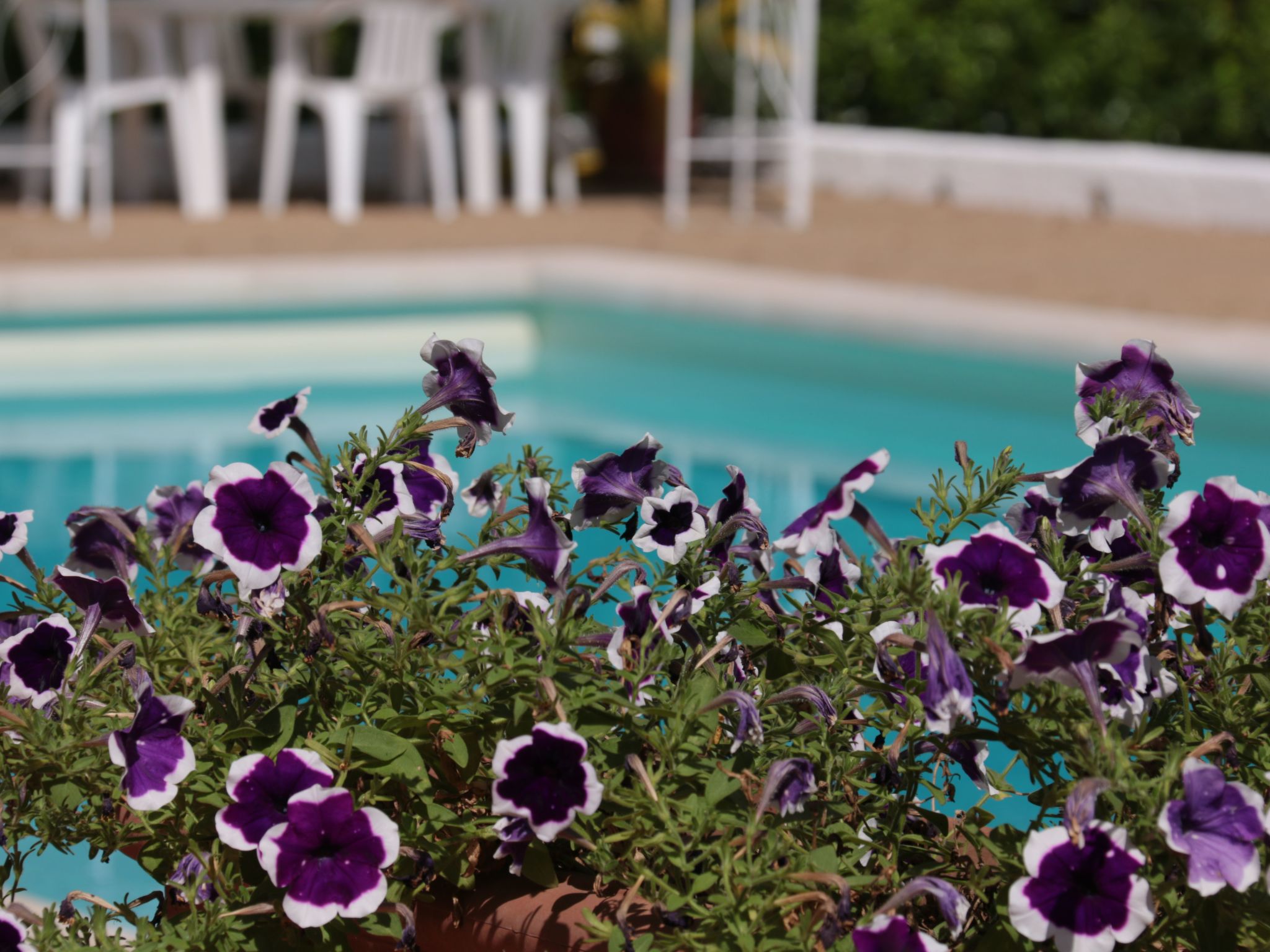 Landgut "Villa Vetti-Image-tags.info