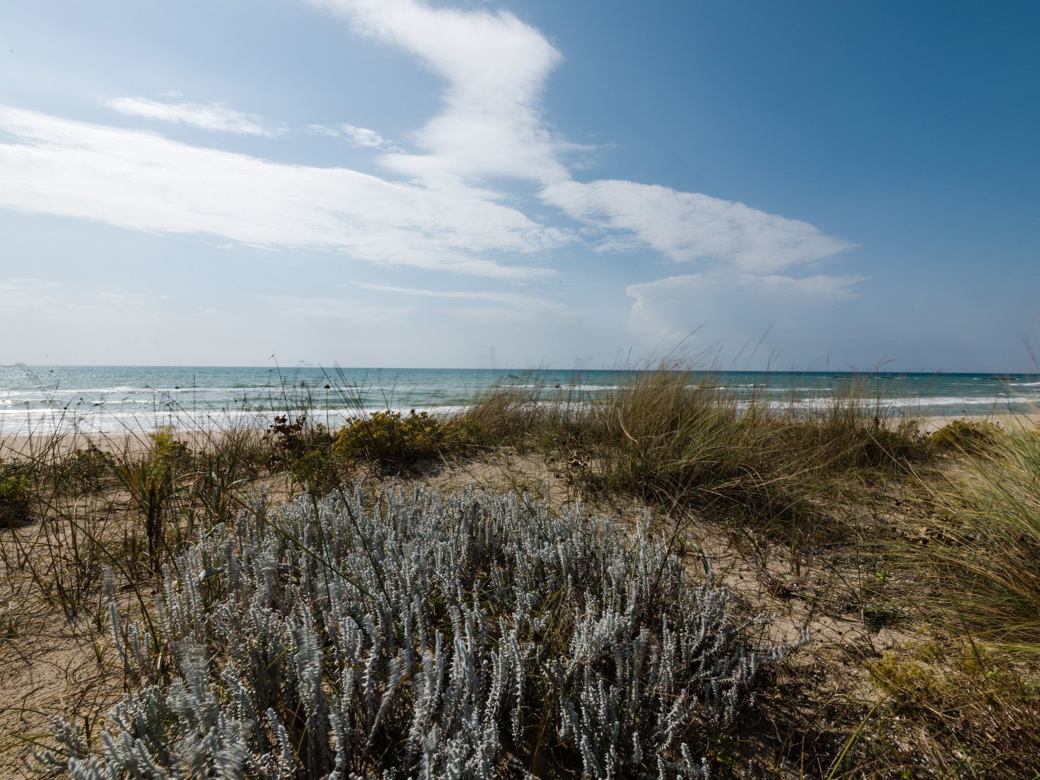 Casa Barza in Salve-Binnen