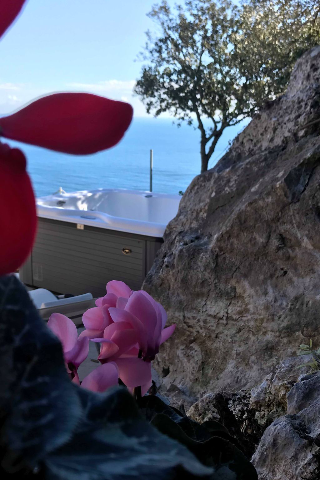 Orchidea-Image-tags.info