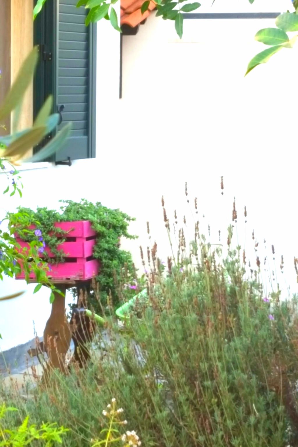 Villa dei Noci-Drinnen