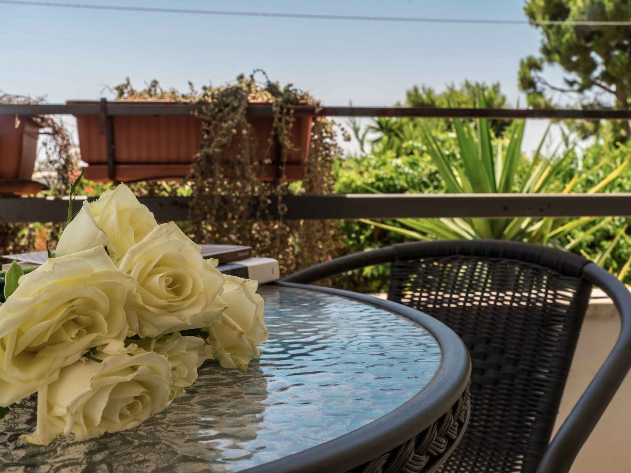 Villa dei Noci-Drinnen