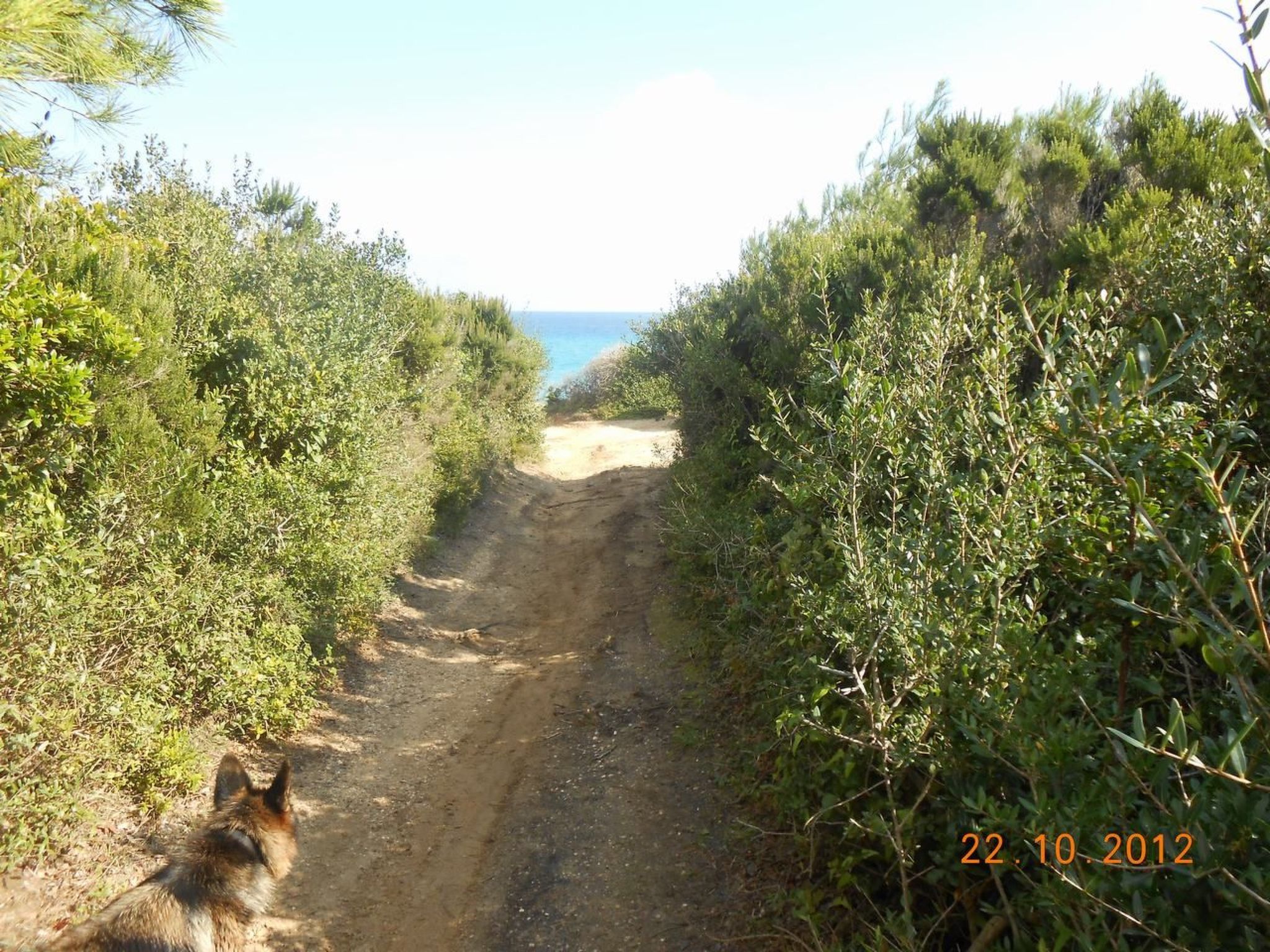 Wohnung mit Jacuzzi-Image-tags.info