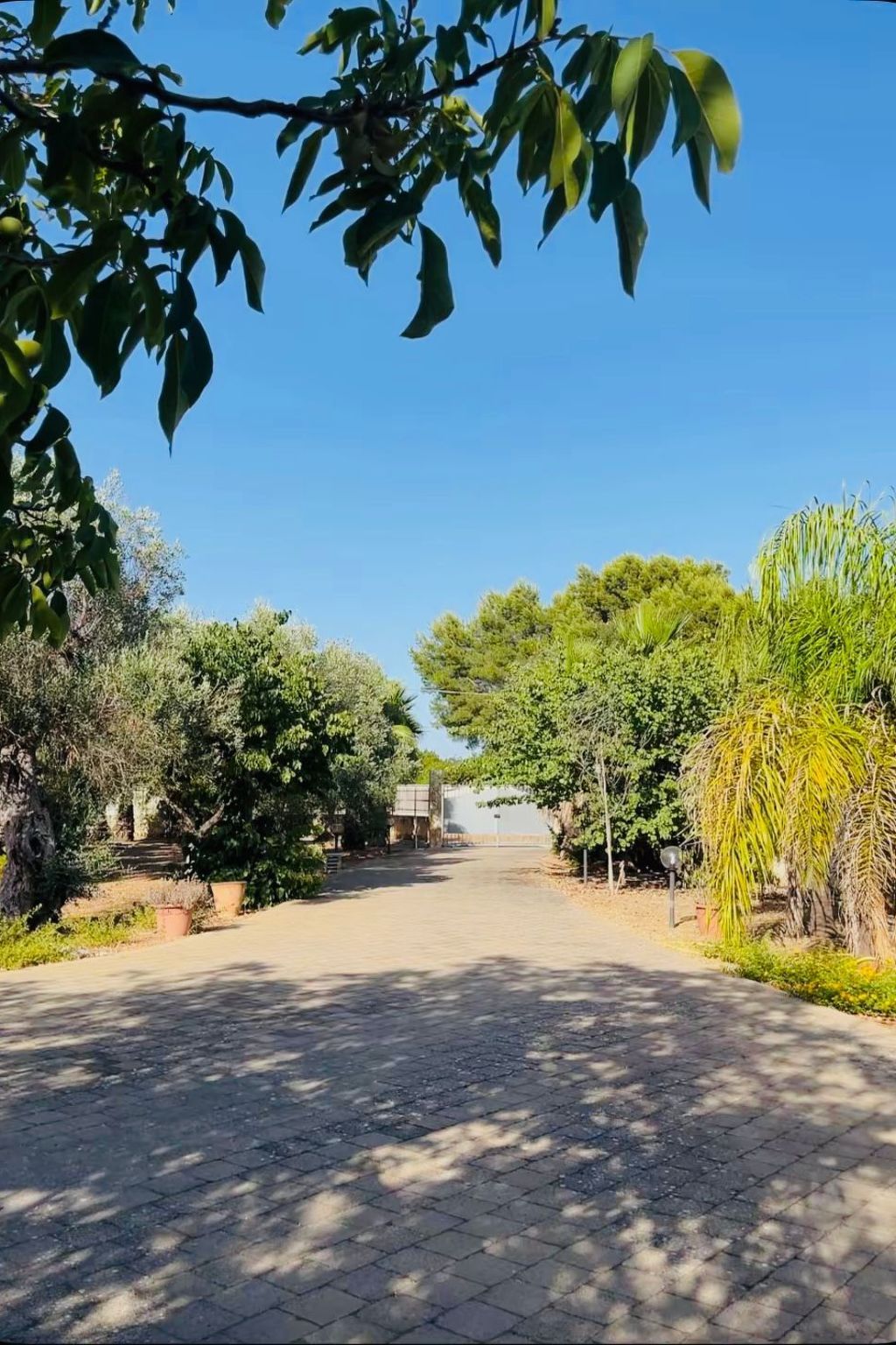 Ein erholsamer Urlaub zwischen Natur und Meer-Binnen