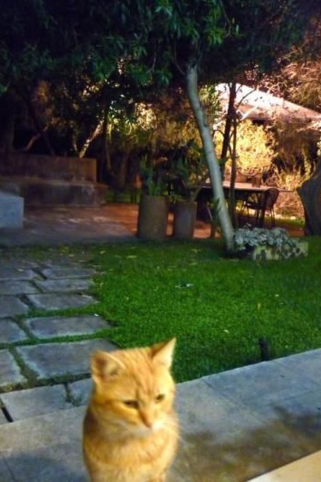 Mit Privatparkplatz-Binnen