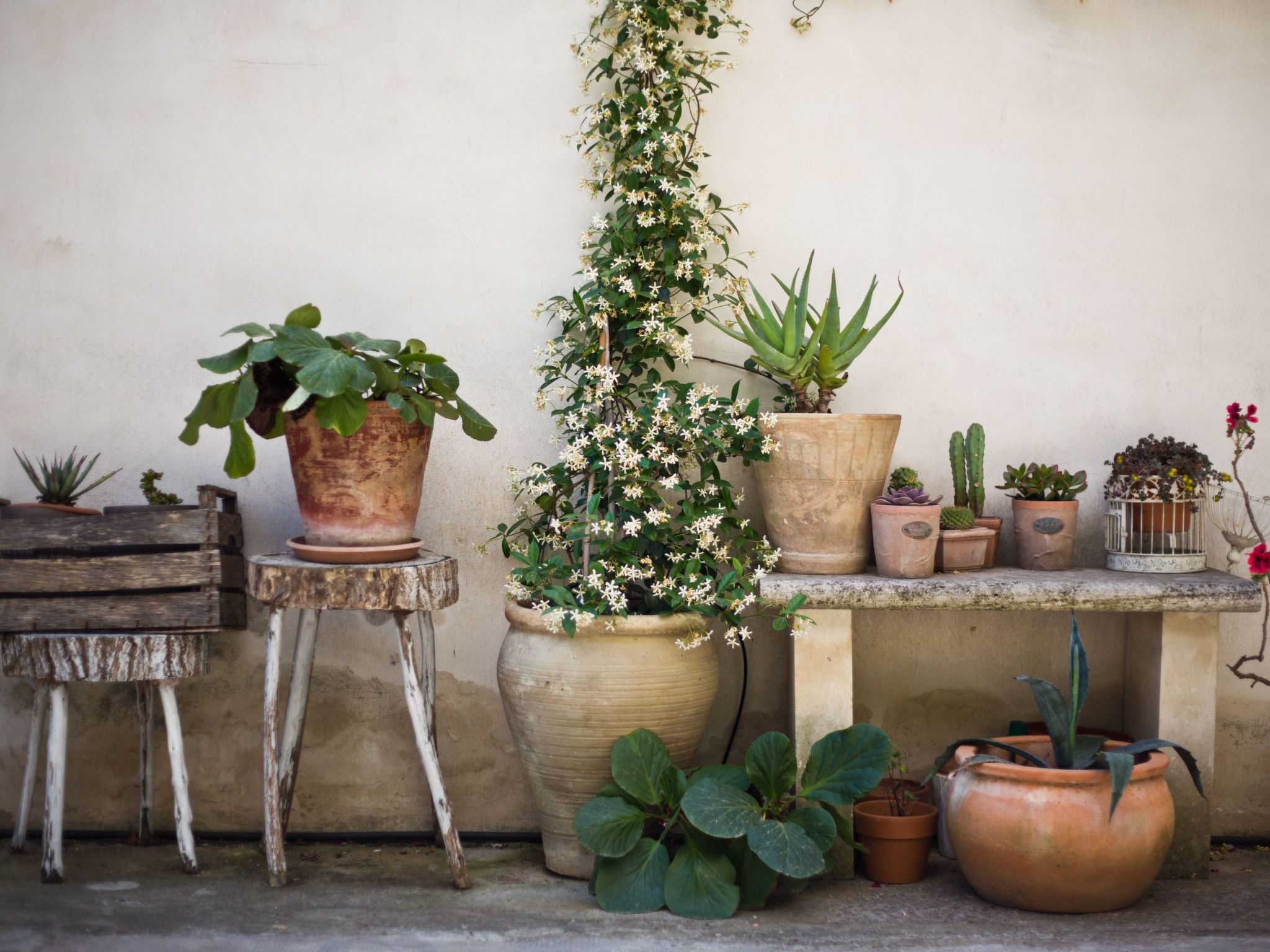 Wohnung 'Nuvole Barocche' mit Balkon-Binnen