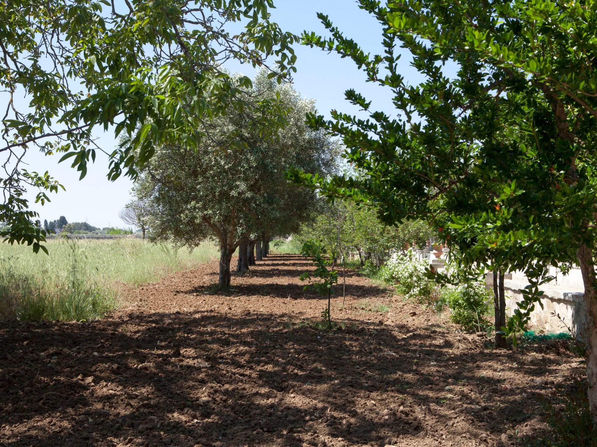 Photo of IT6835.619.1