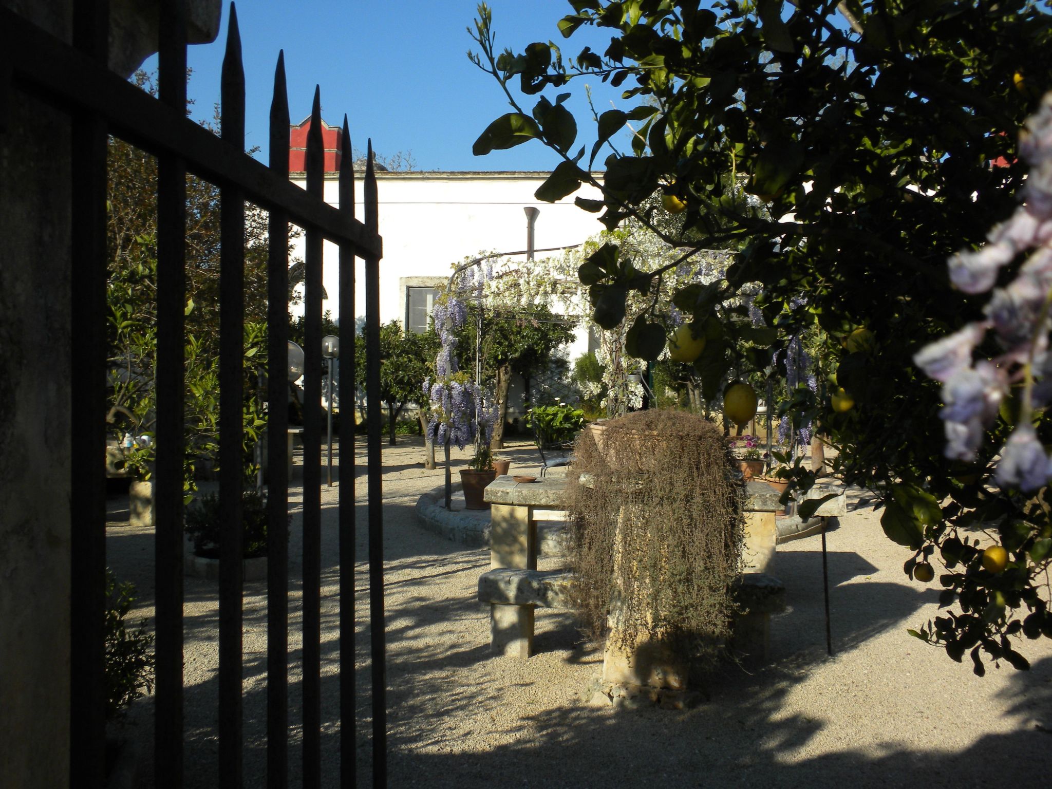 Photo of IT6835.619.1