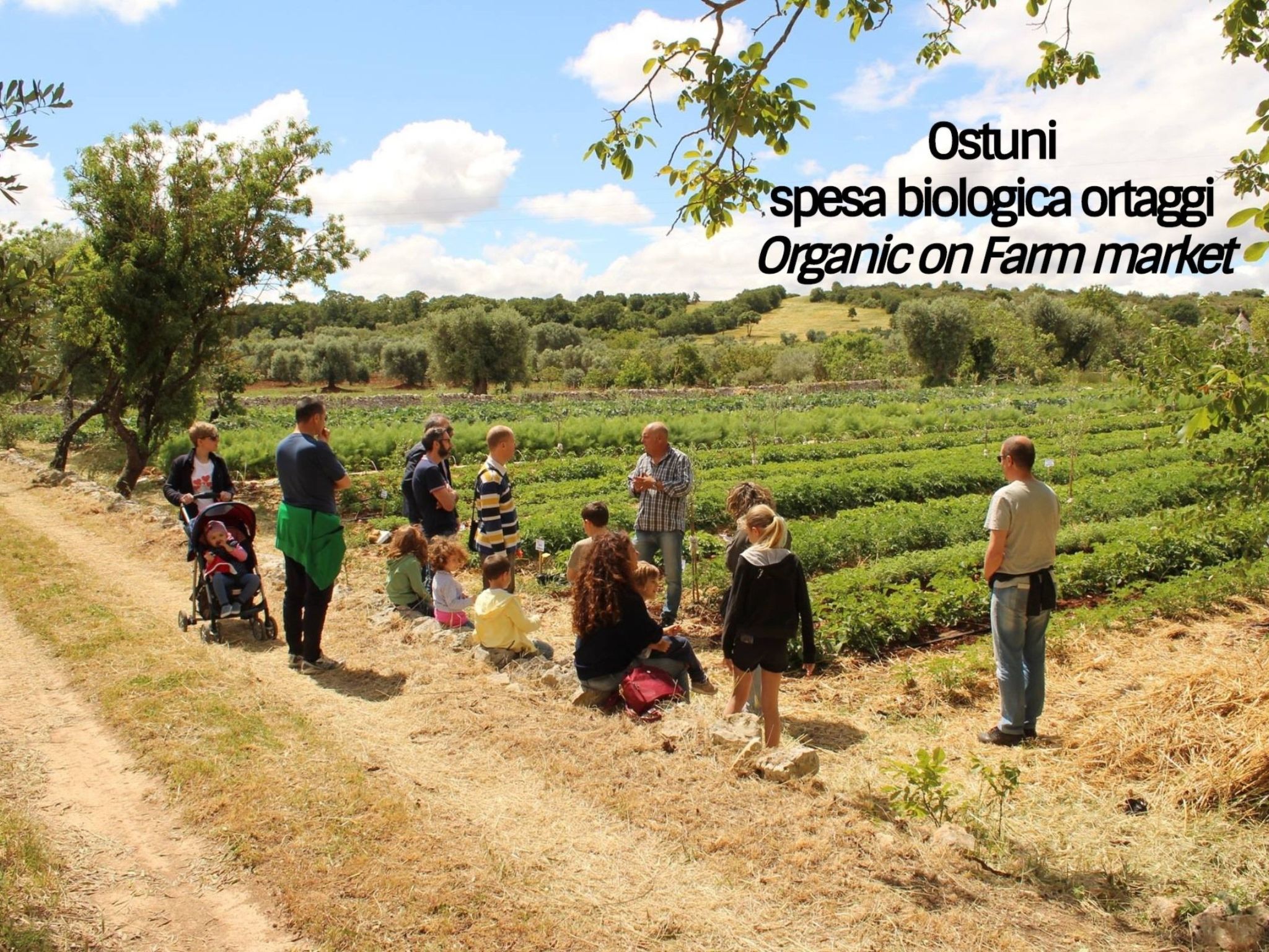 La Corte della Masseria-Binnen