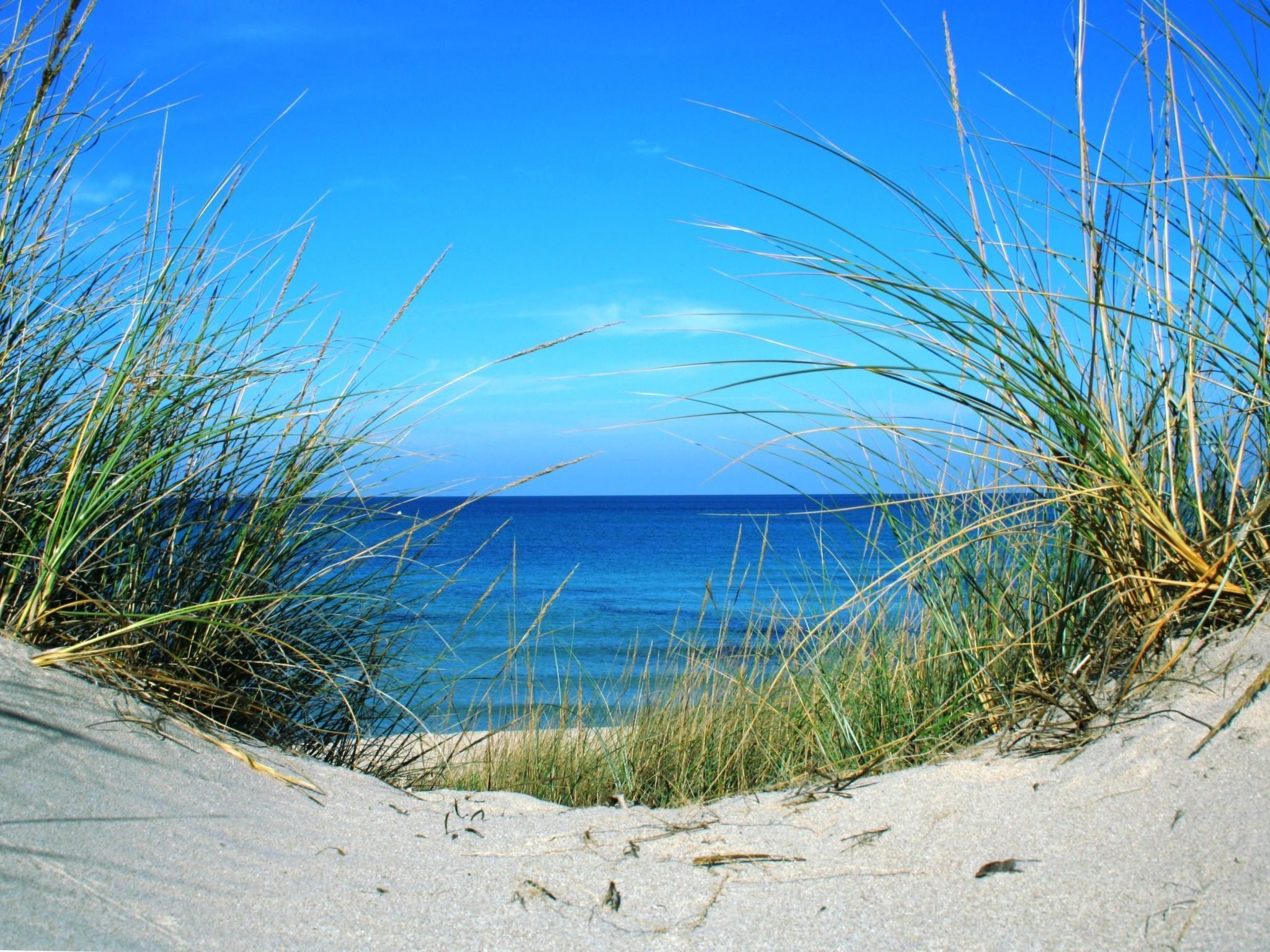 Wohnung in Carovigno mit Terrasse und Grill-Binnen