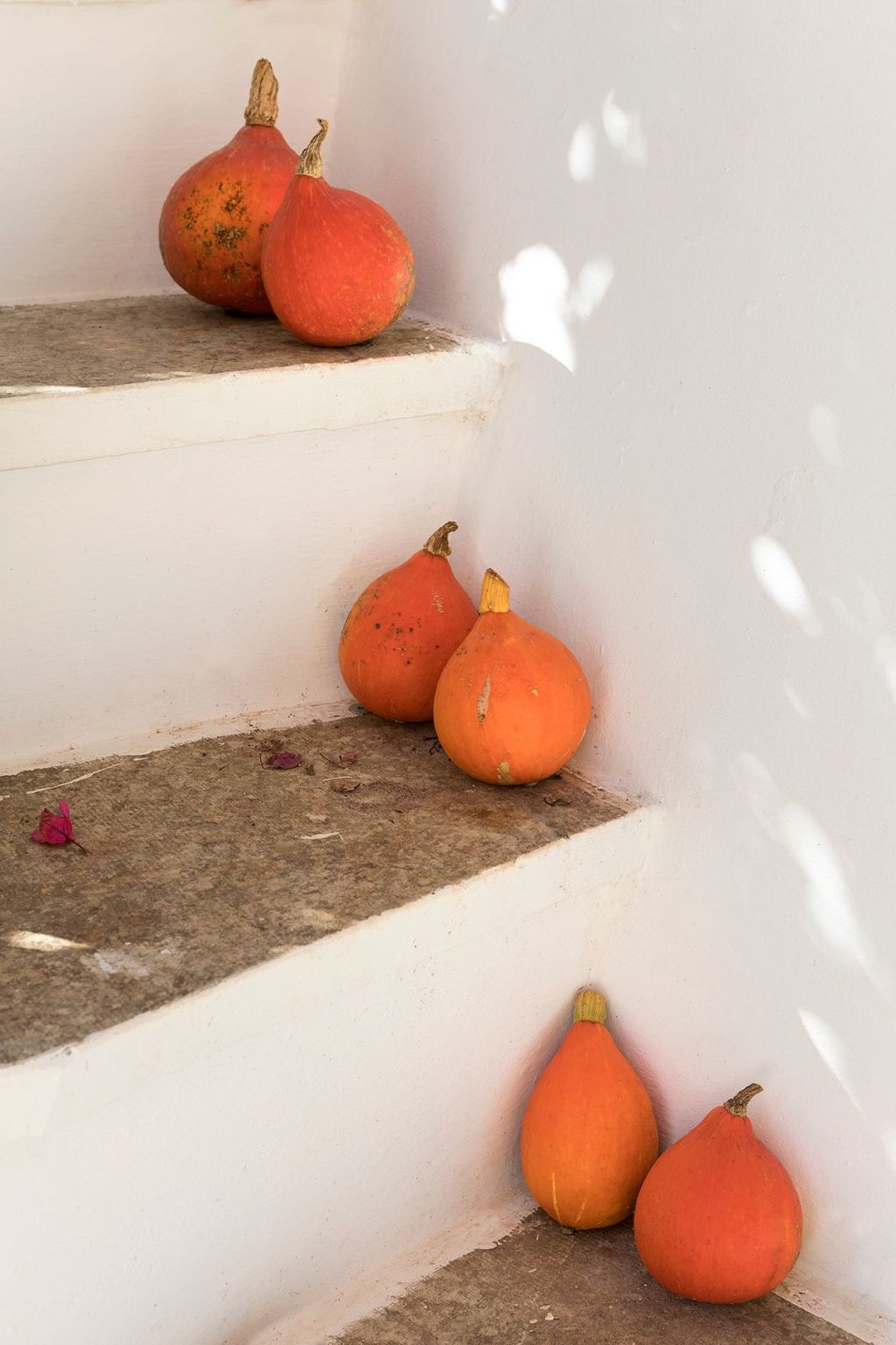 Villa Vistamare-Inside