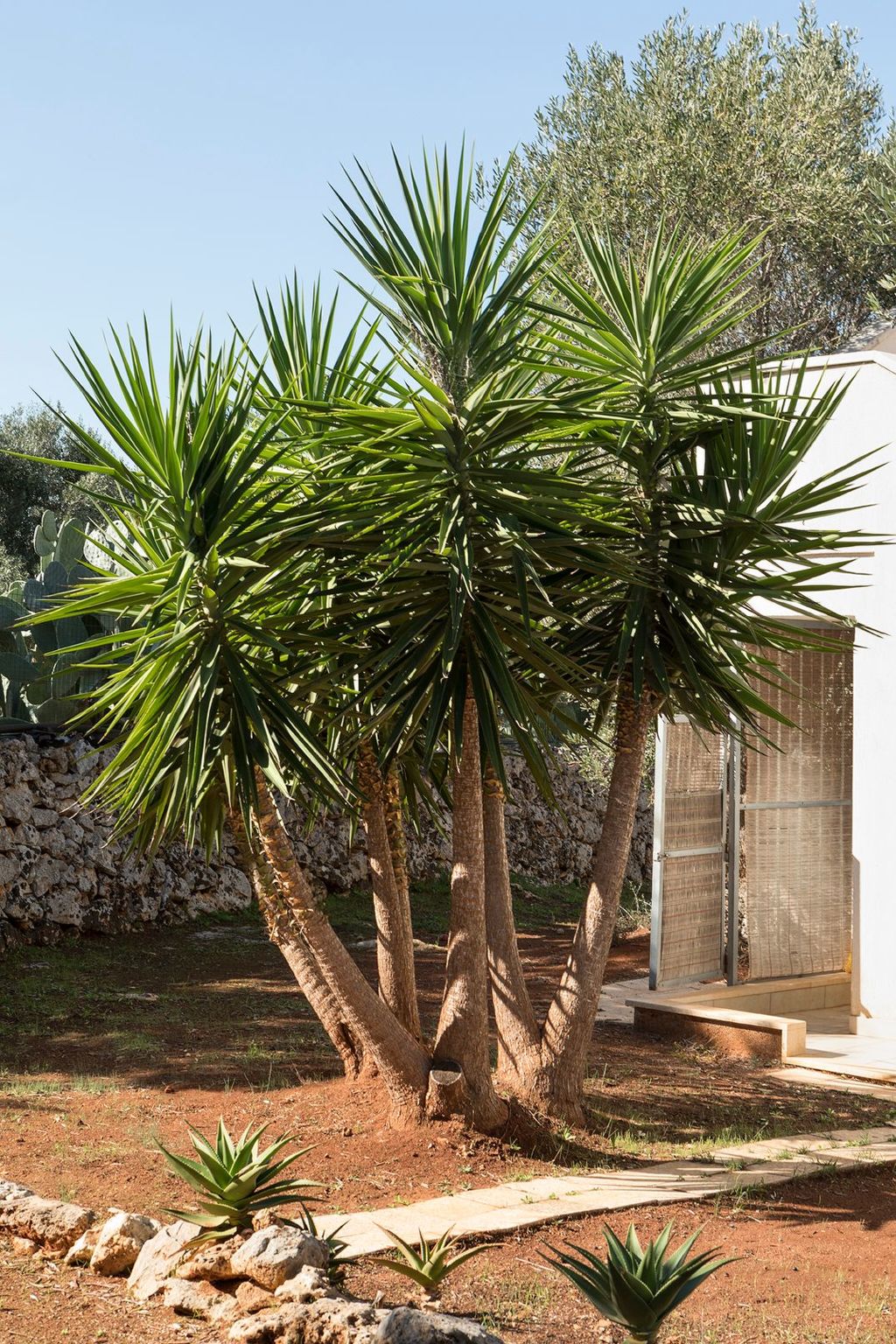 Villa Vistamare-Inside