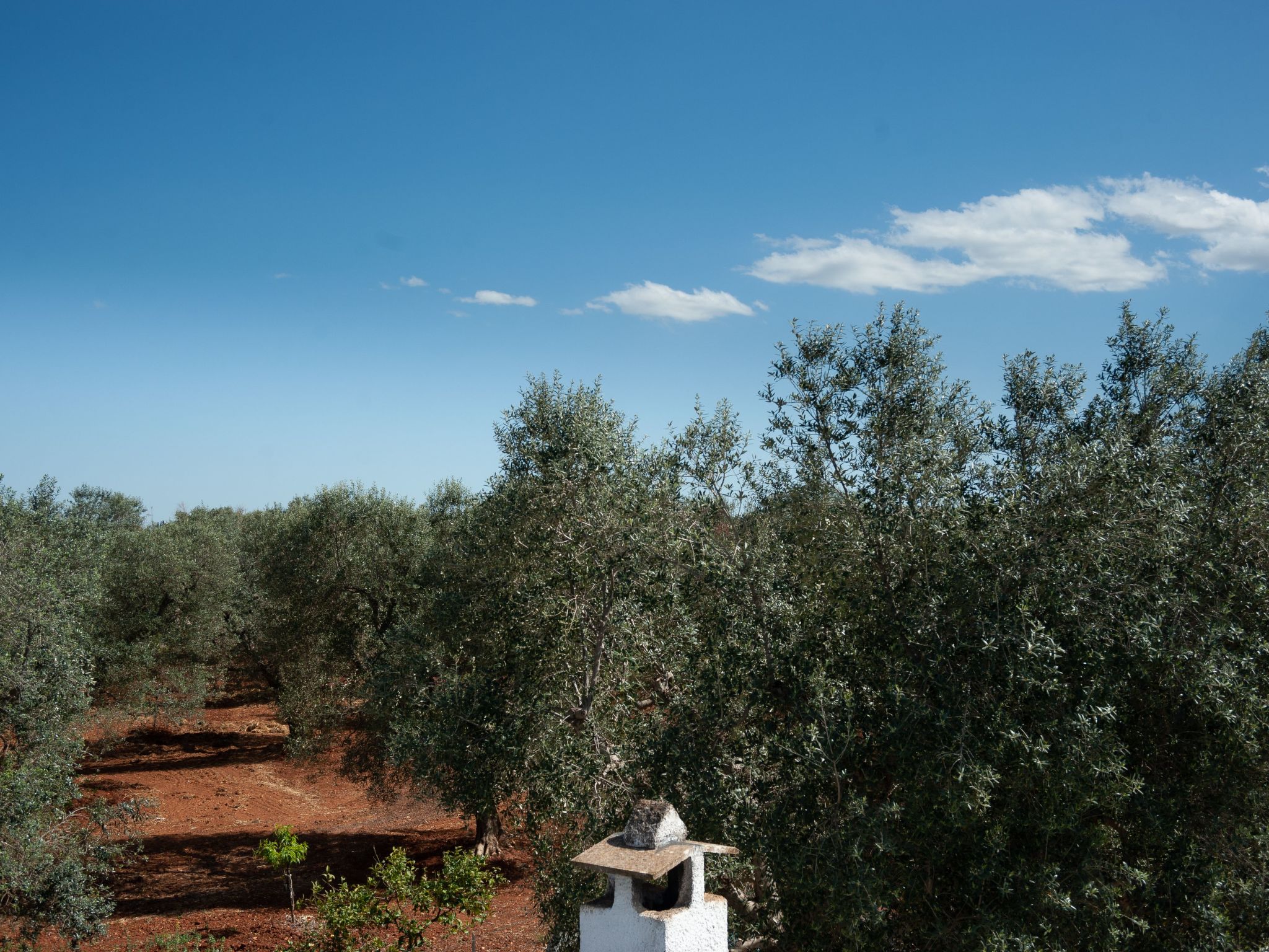Bauernhof mit Schwimmbad und Babypark Brindisi am Meer-Binnen