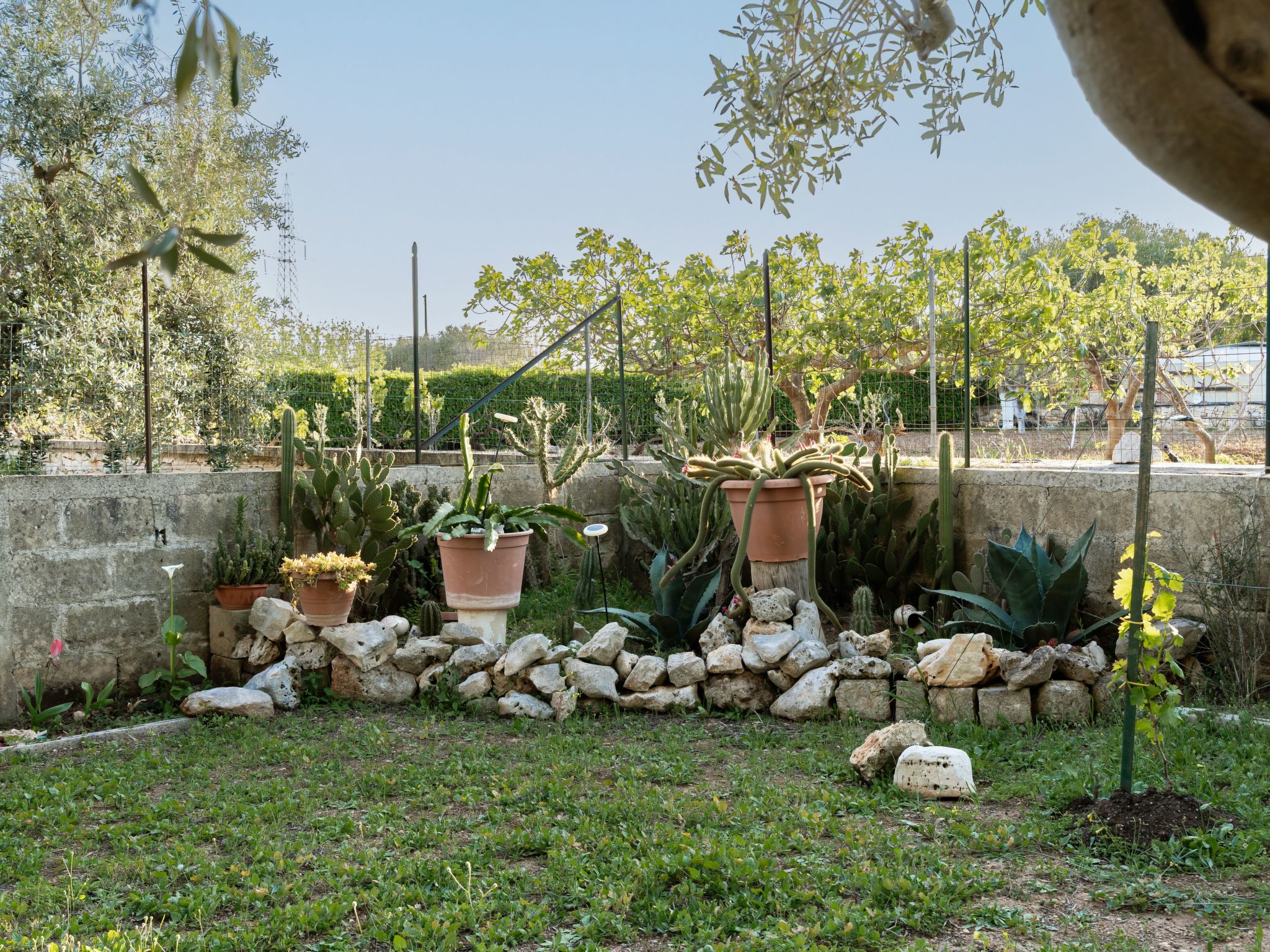 Villa Pallino mit Pool-Binnen