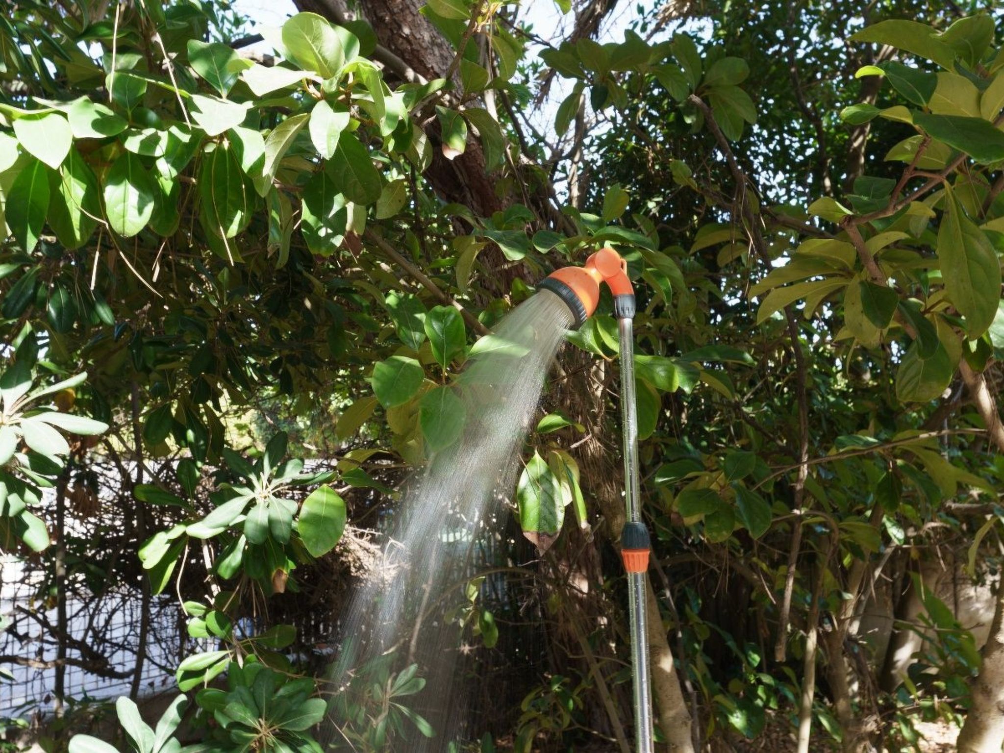 'Villa Nami' in Strandnähe-Binnen