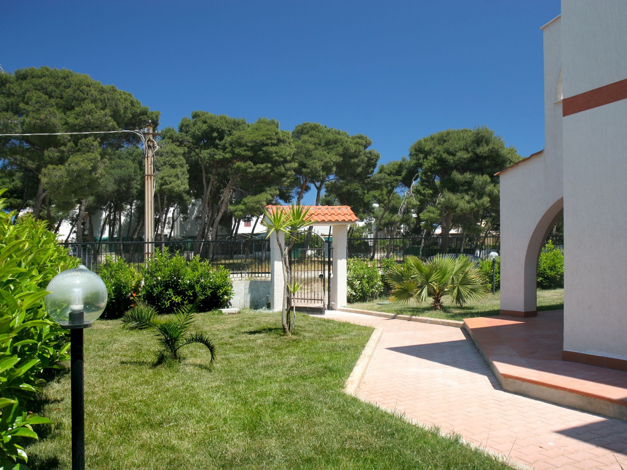 Flacher Rasen links-Binnen