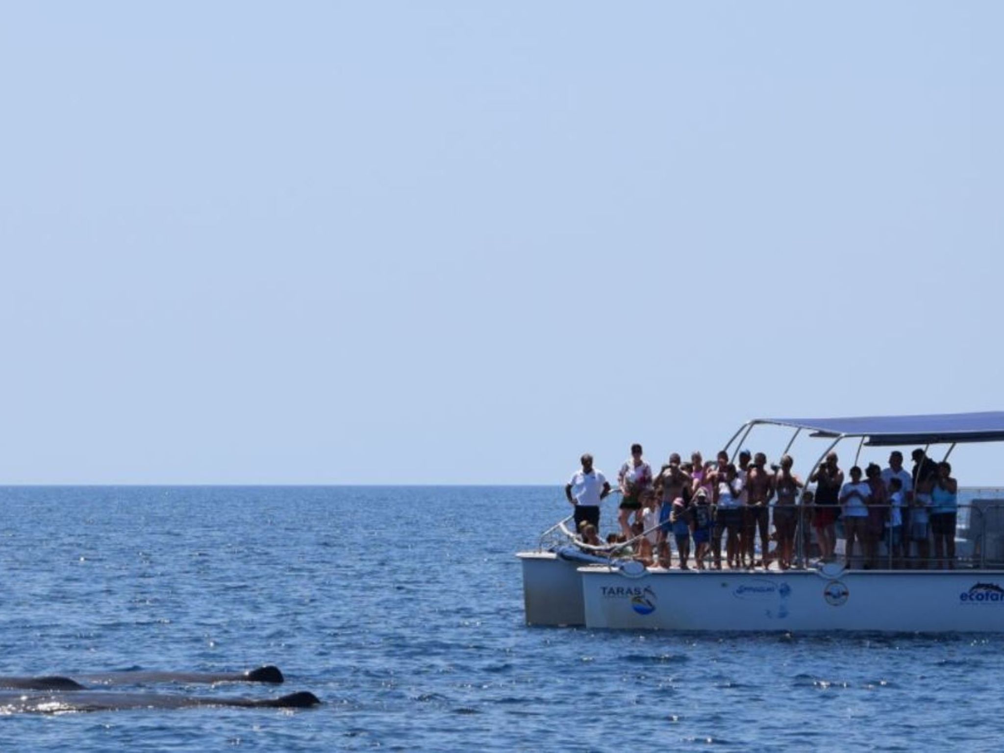 Villa Stella Cadente mit privatem Pool-Binnen