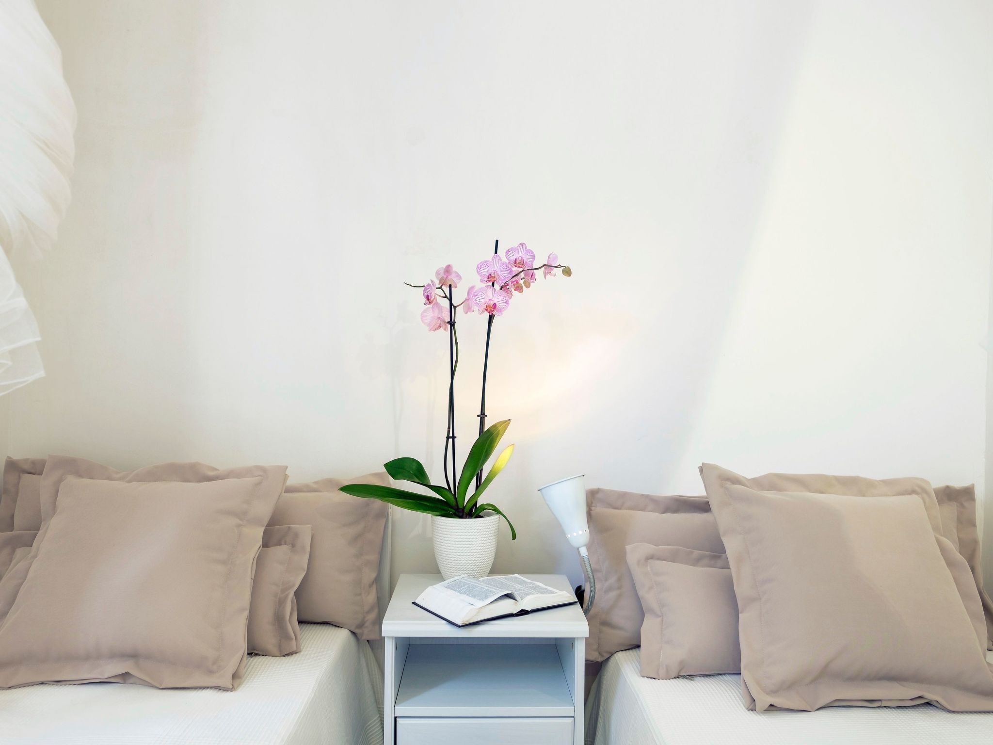 Masseria Pagliamonte-Dedans