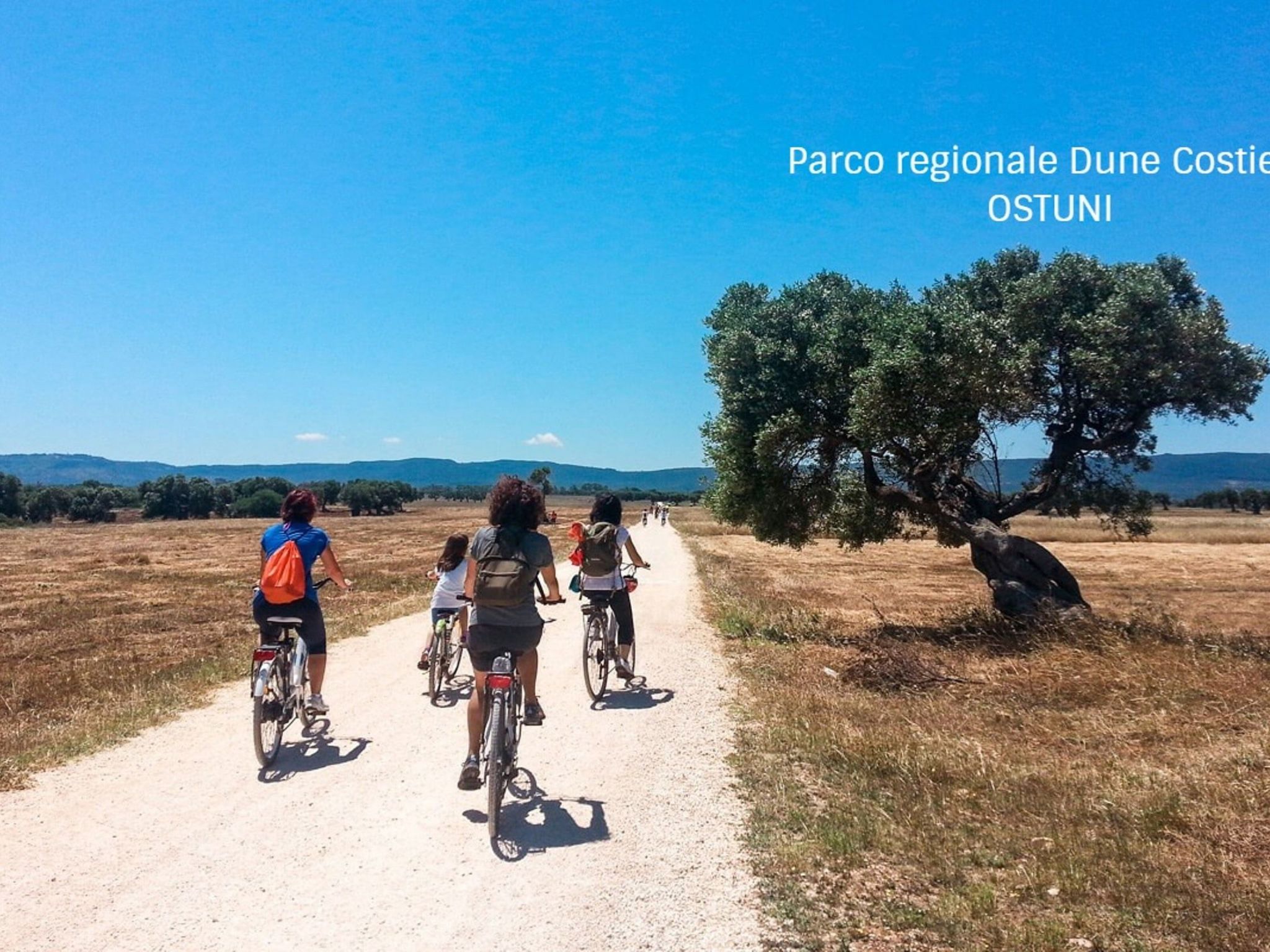 Masseria Pagliamonte-Dedans