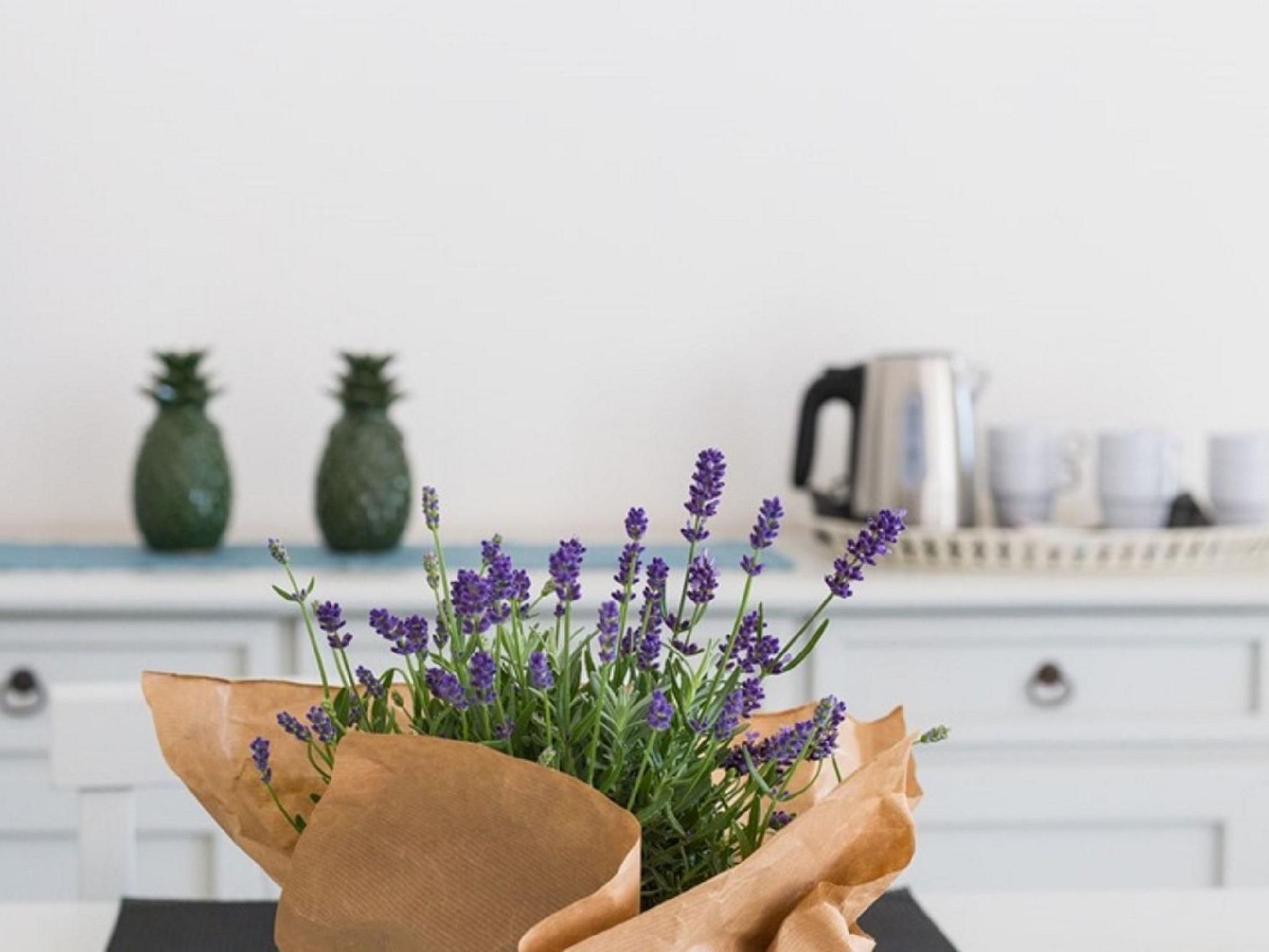 Villa Nettuno 150 m von den Stränden entfernt-Binnen