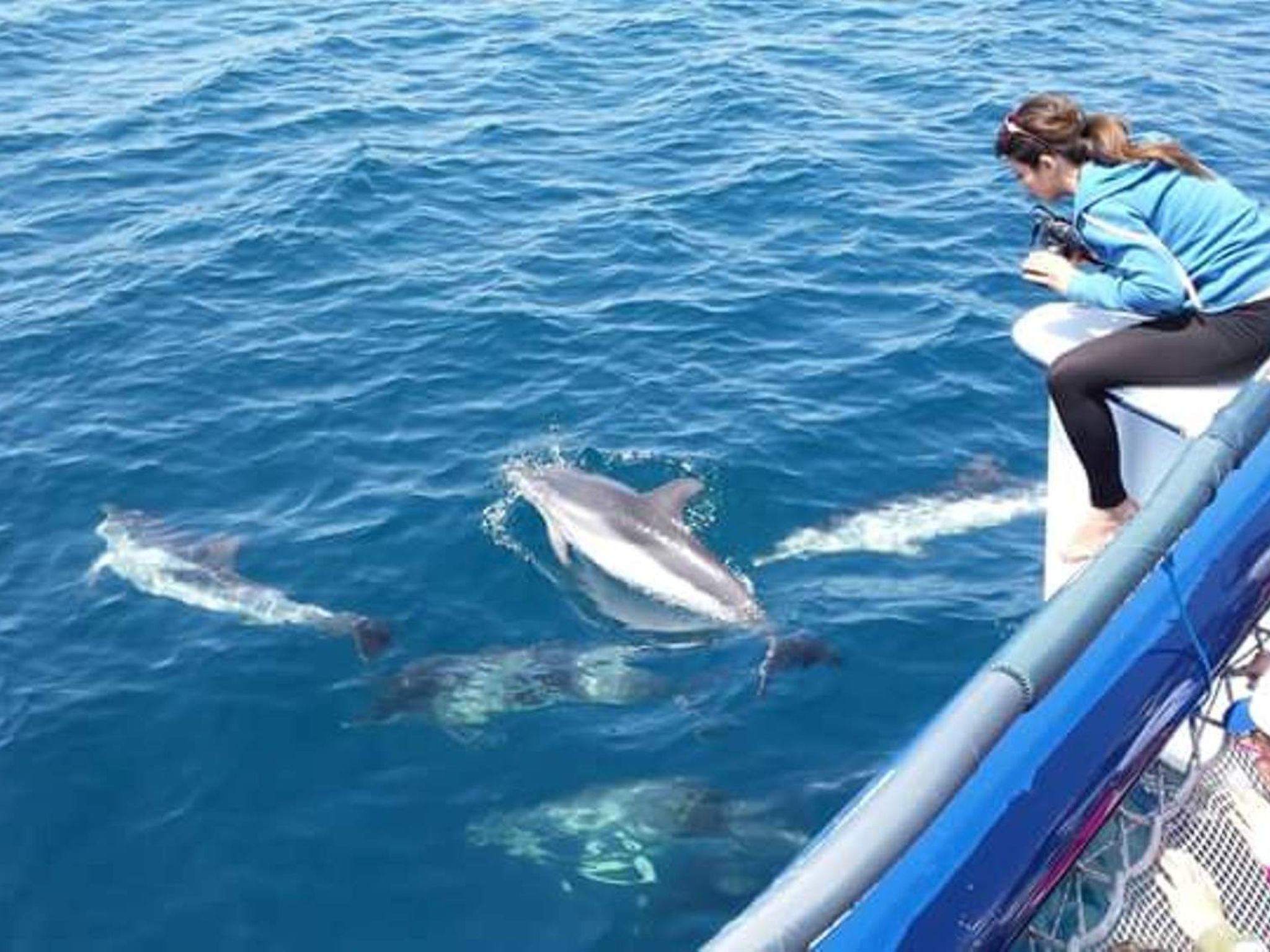 Villa Orchidea am Meer in Apulien-Binnen