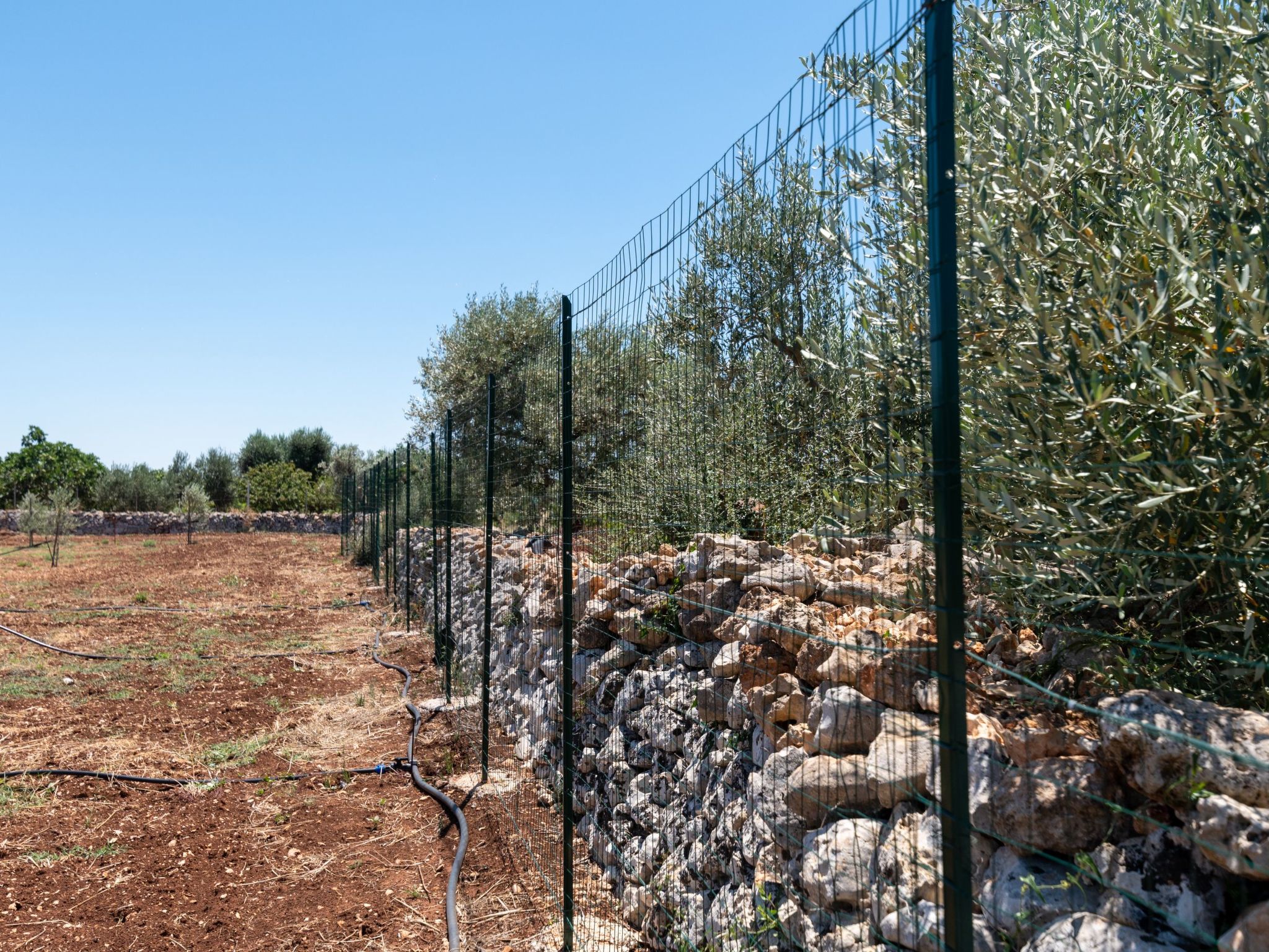 Villa Gioena mit Pool-Binnen