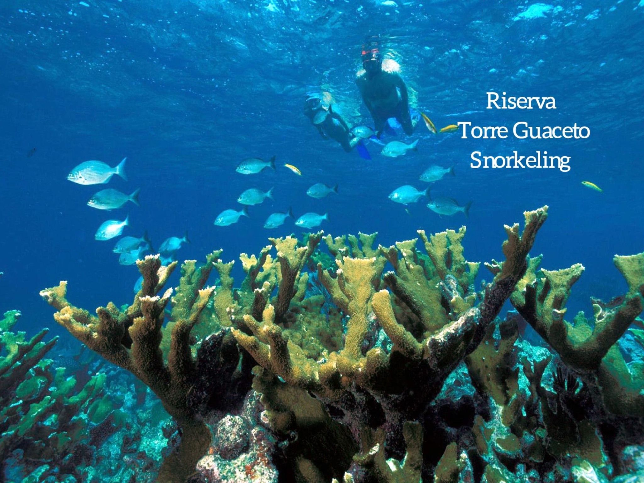 Borgo Marianna -  beheiztes schwimmbad-Binnen