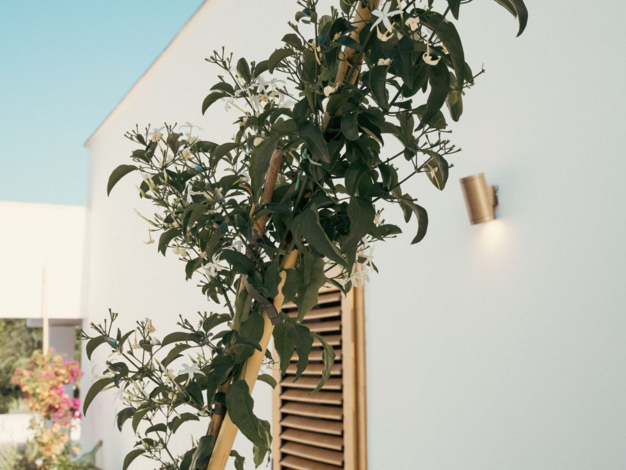 Villa Jolie mit Pool-Binnen