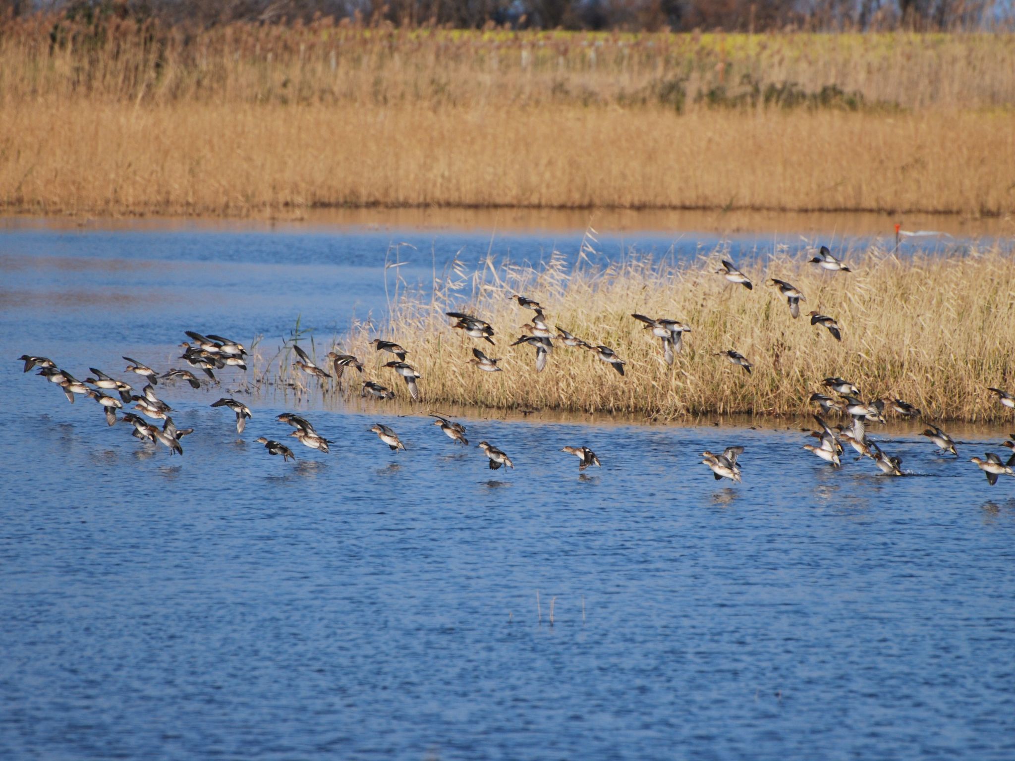 Trullo Alcova  in der Nähe des Meeres-Binnen