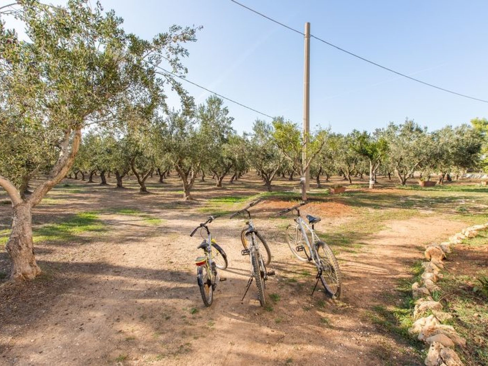 Trullo für Ferien in Apulien-Binnen