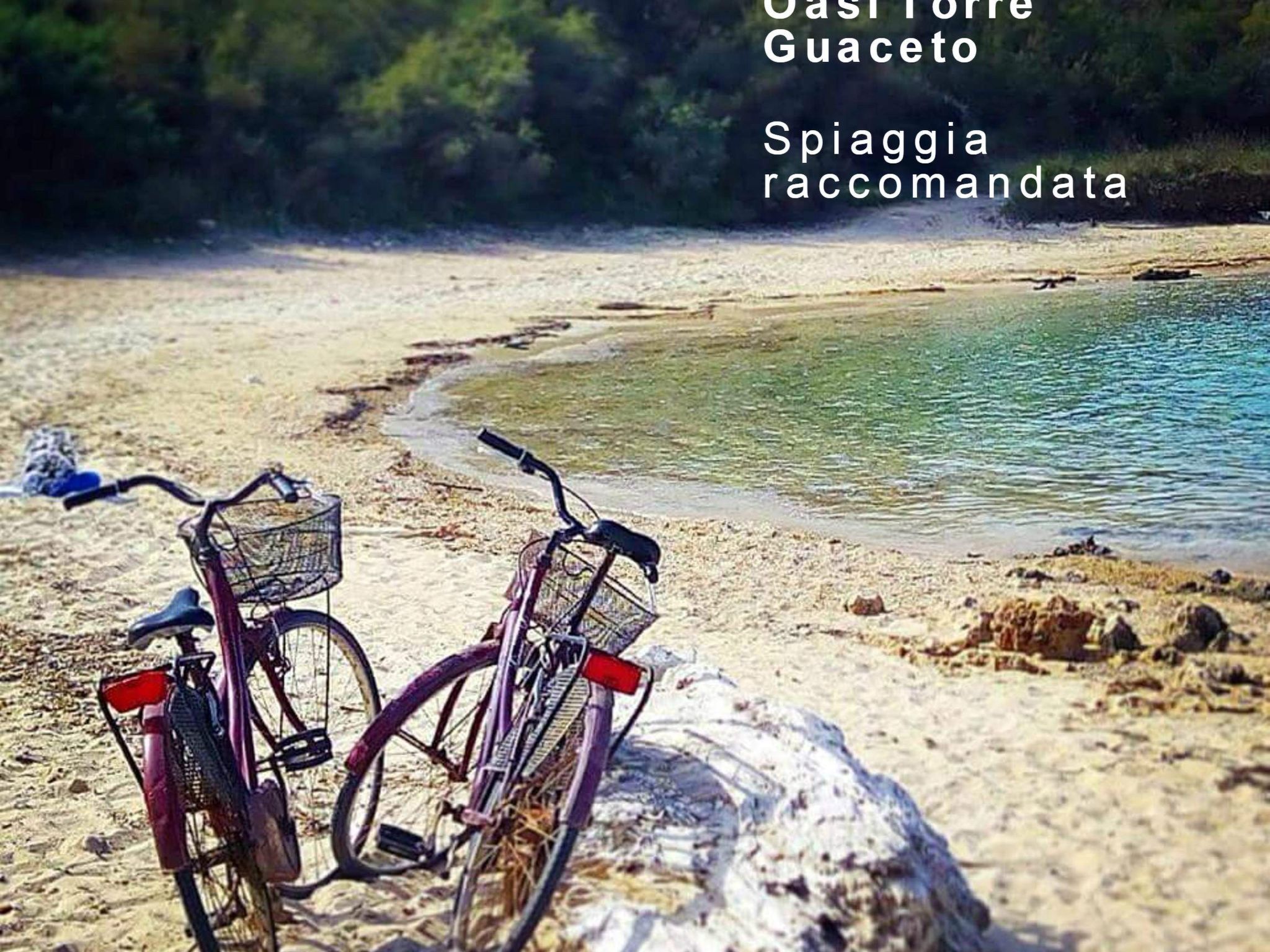 Trullo für Ferien in Apulien-Binnen