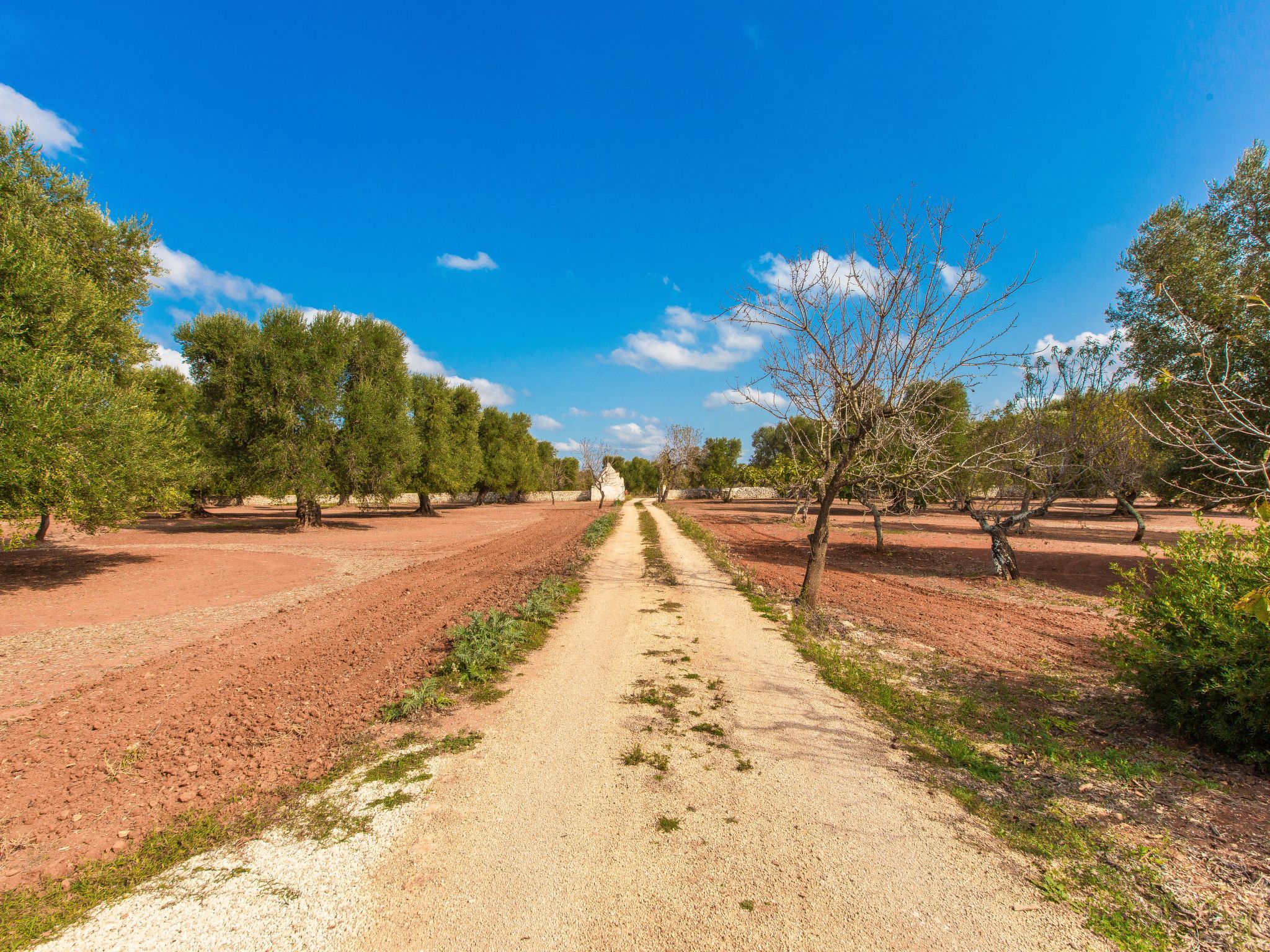 TRULLO  mit pool OSTUNI: Kostenlos: Bettwäsche und Handtücher, 2 Fahrräder, 1 H-Binnen