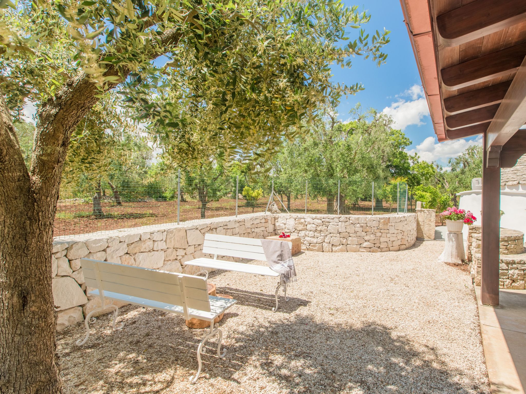 Trullo die Riesenpappel-Dedans