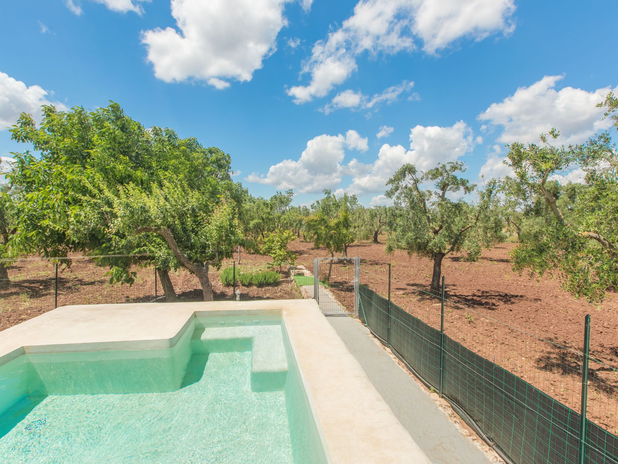 Trullo die Riesenpappel-Dedans