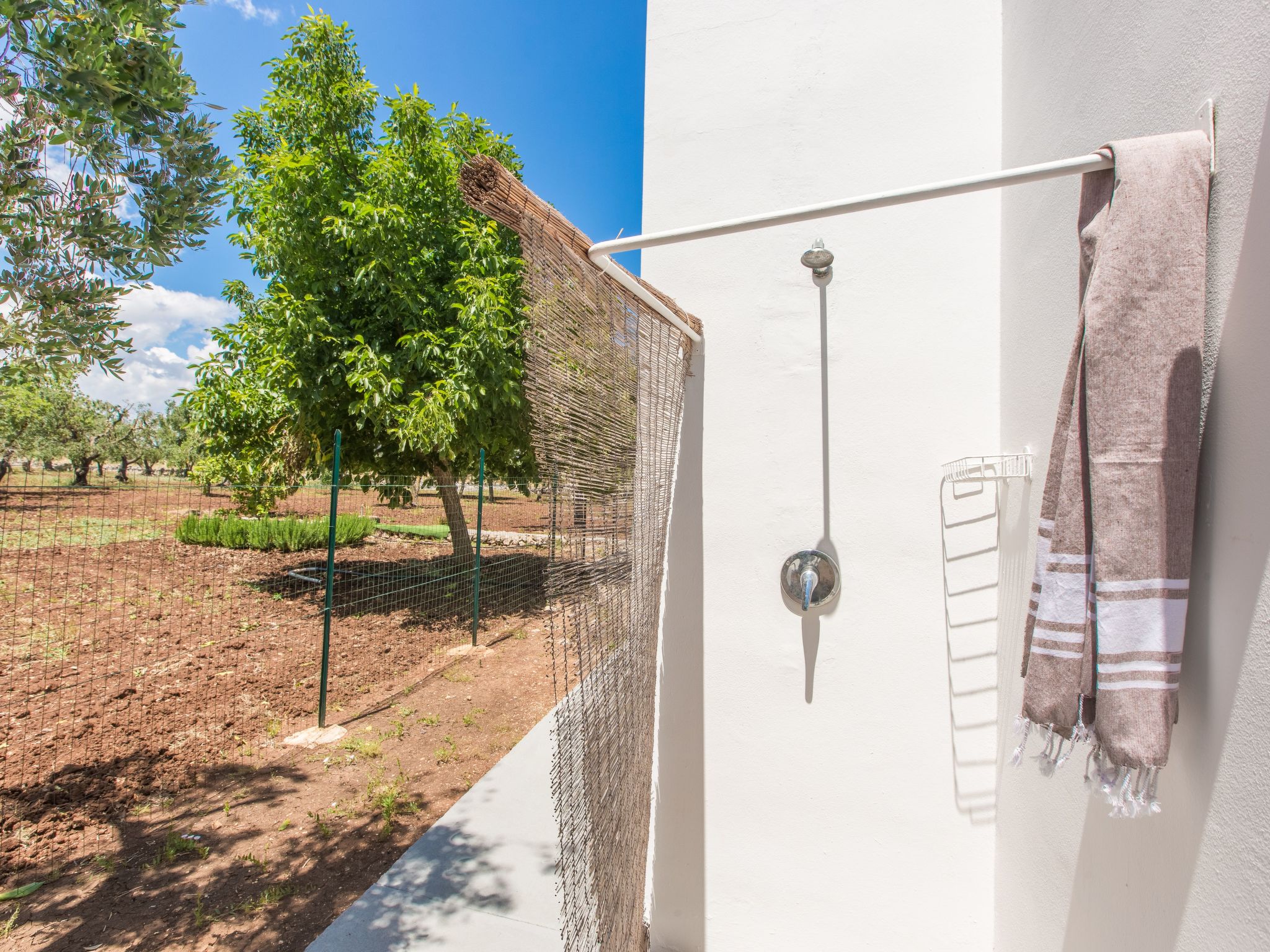 Trullo die Riesenpappel-Dedans