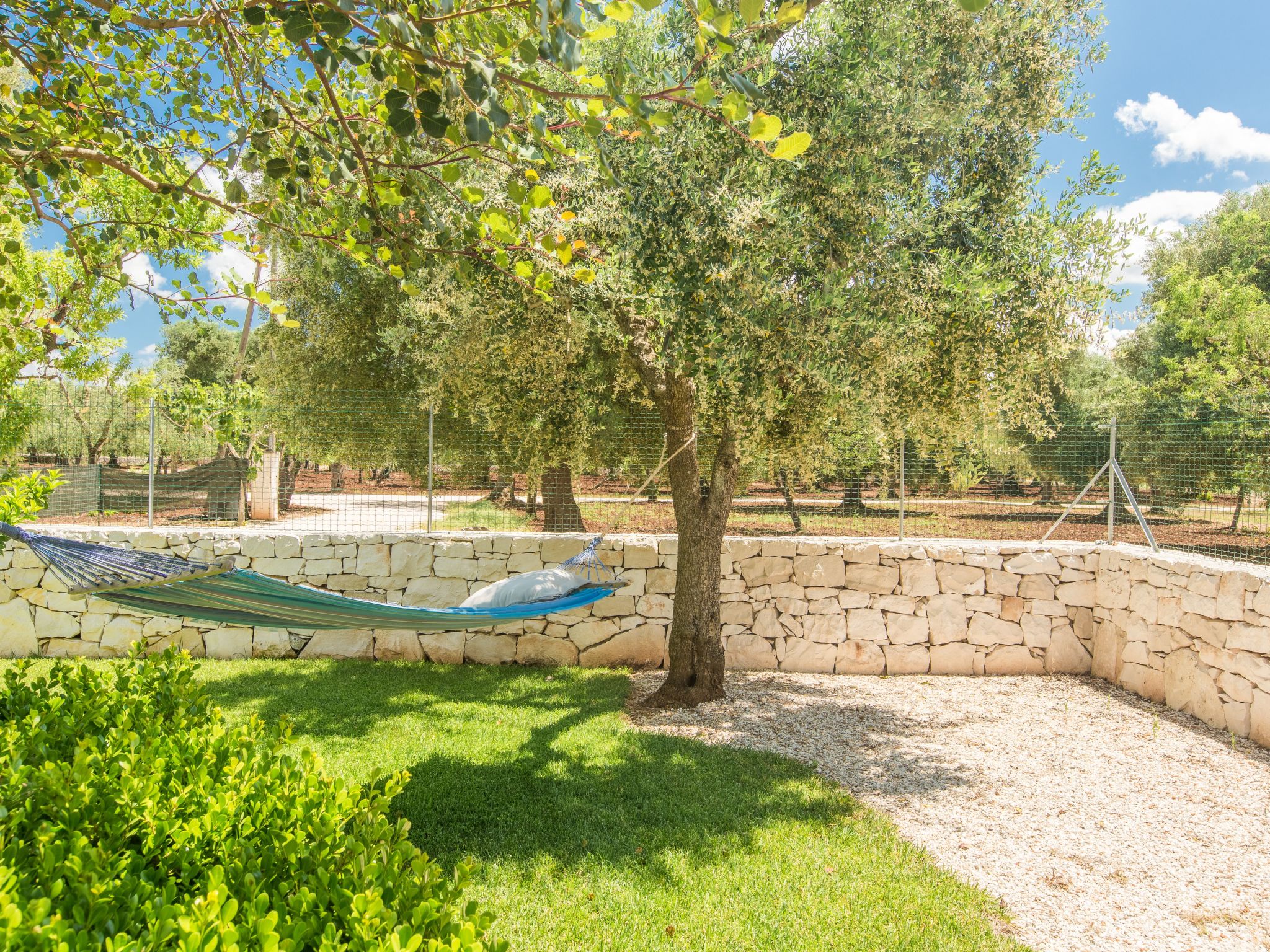 Trullo die Riesenpappel-Dedans