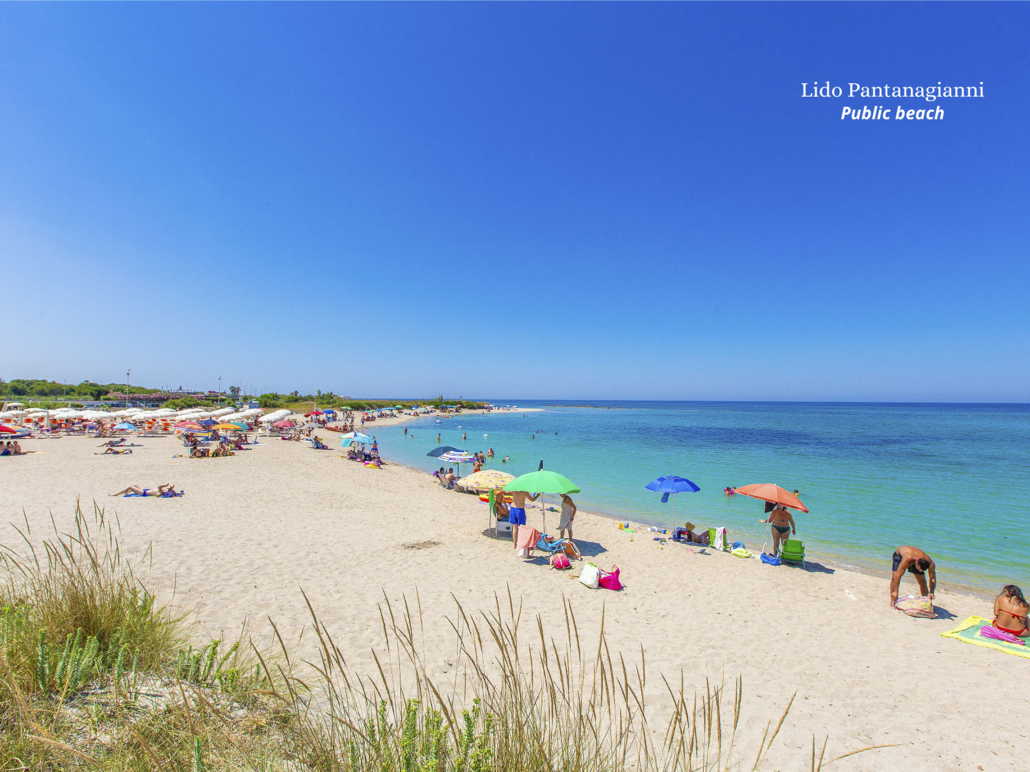 Lamia der Vesper-Dedans