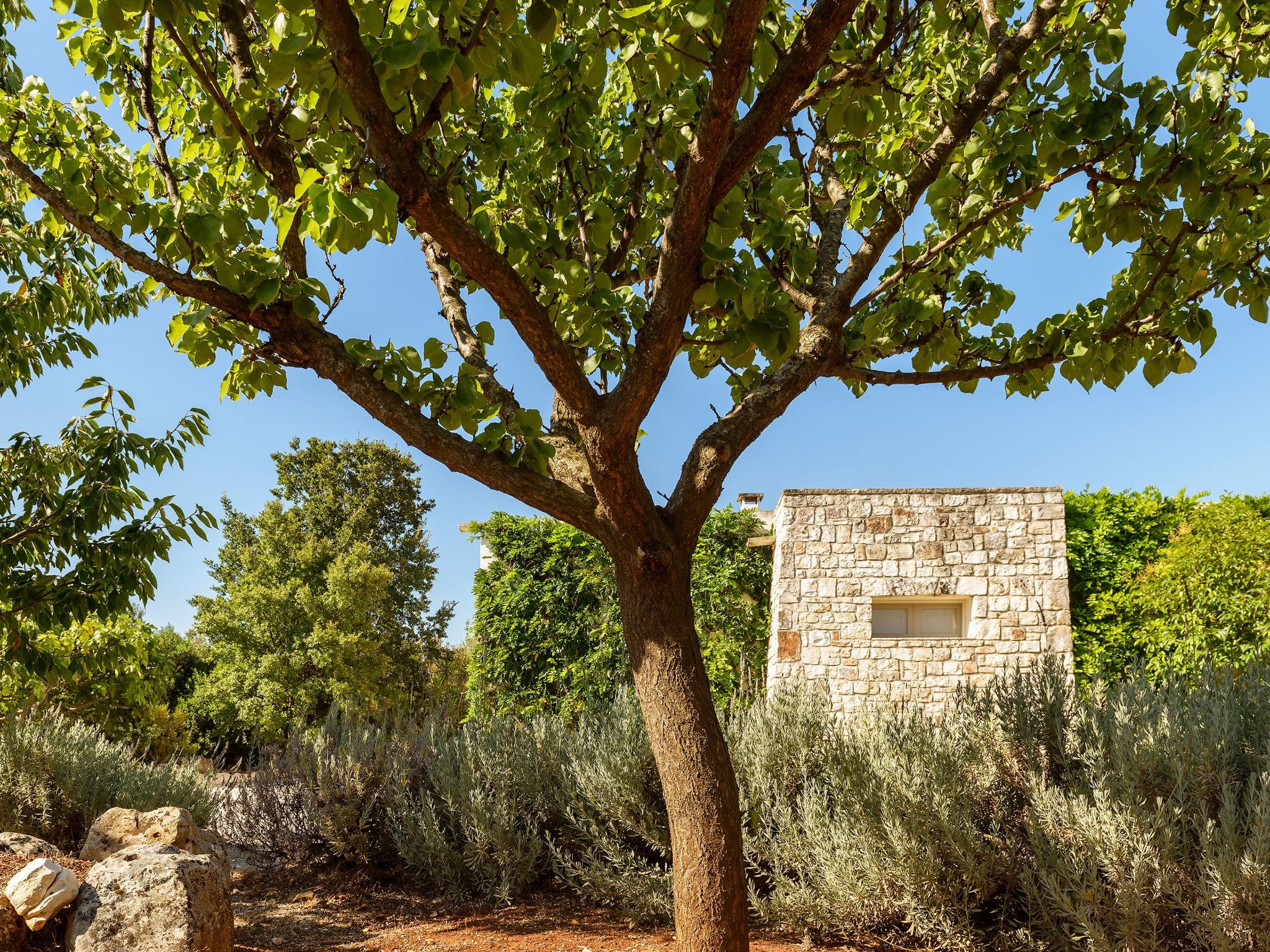 In Ostuni mit Privatem Pool-Drinnen