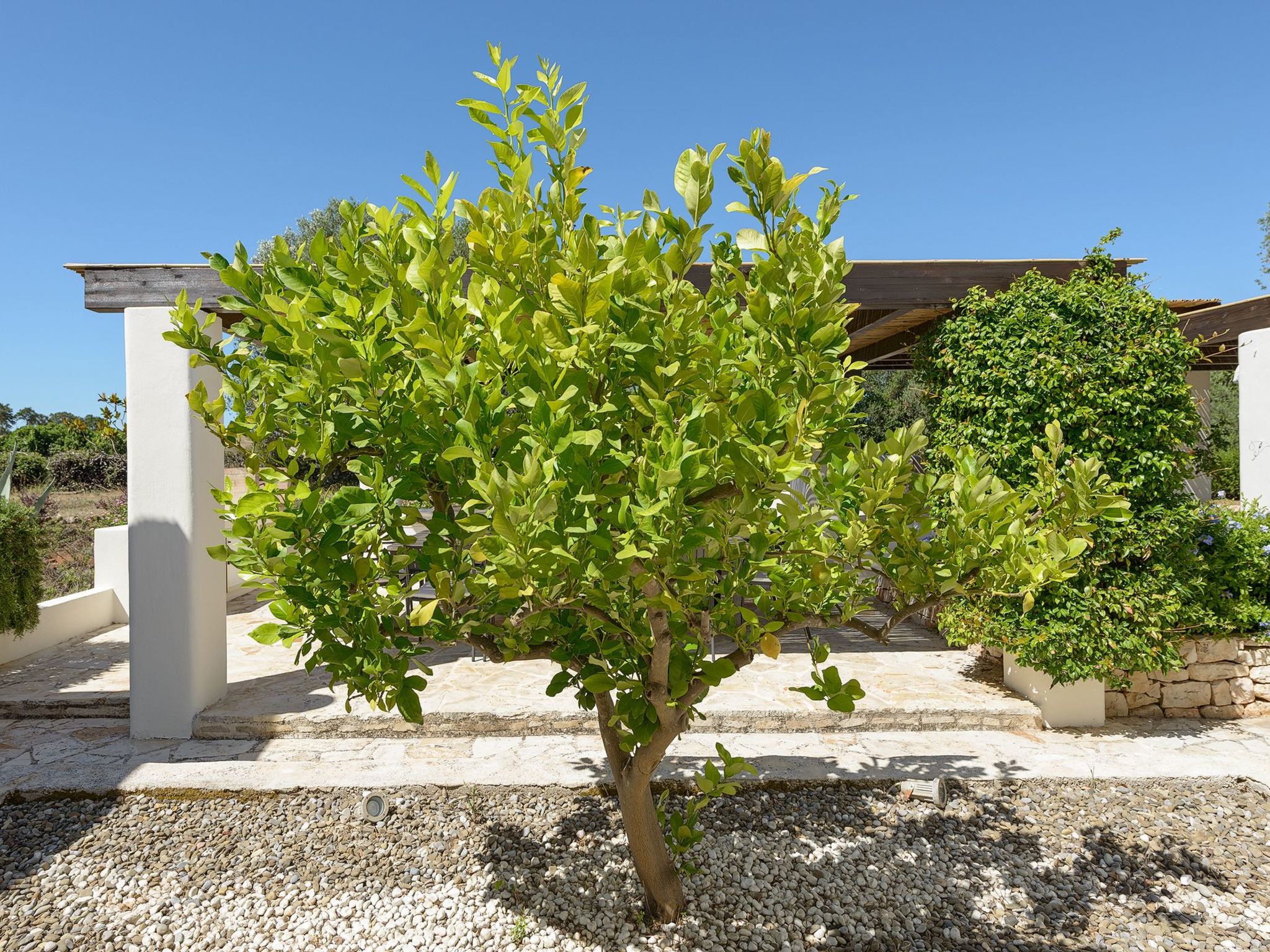 Mit Privatpool an der Adriaküste-Binnen