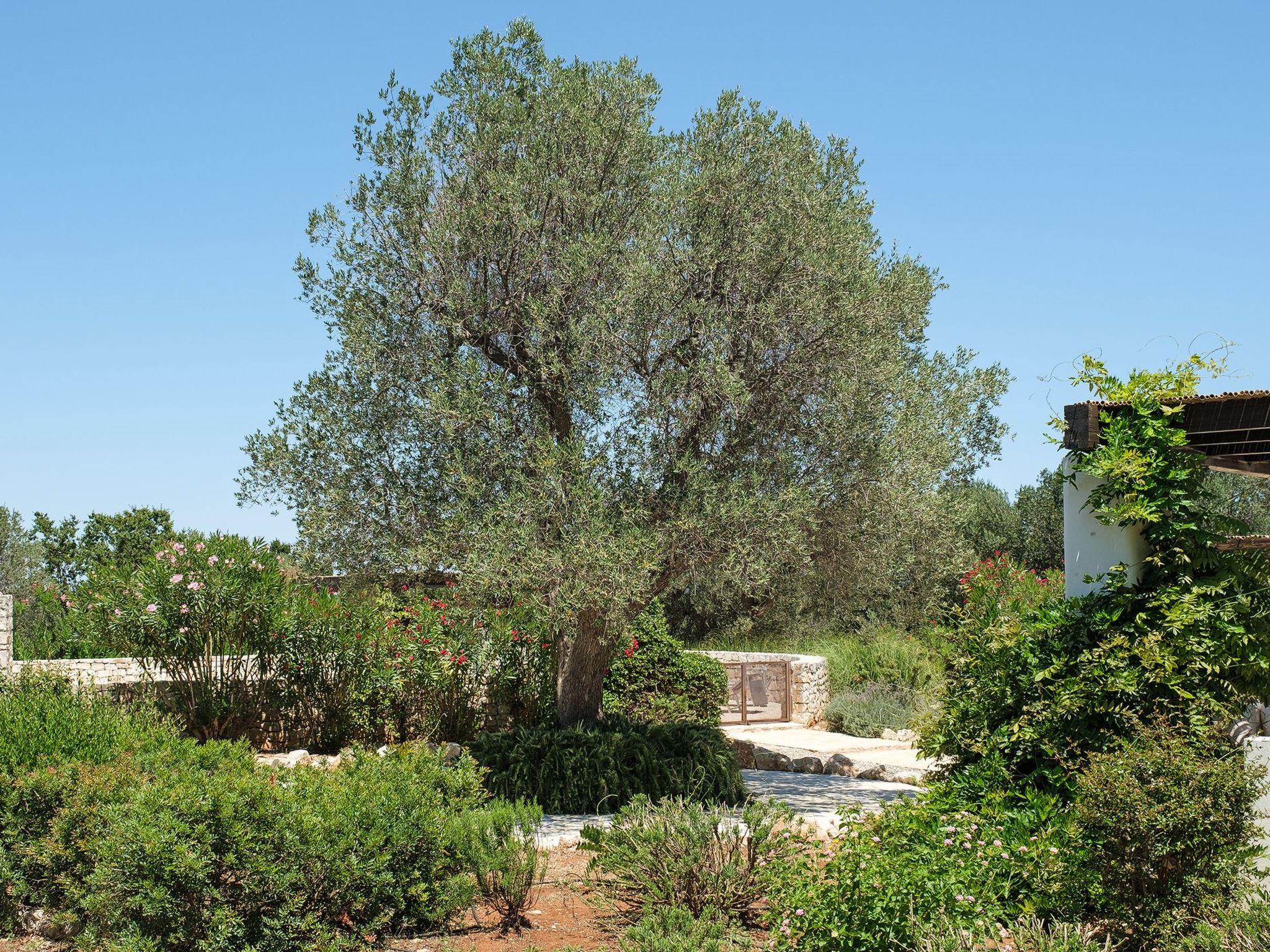 Mit Privatpool an der Adriaküste-Binnen