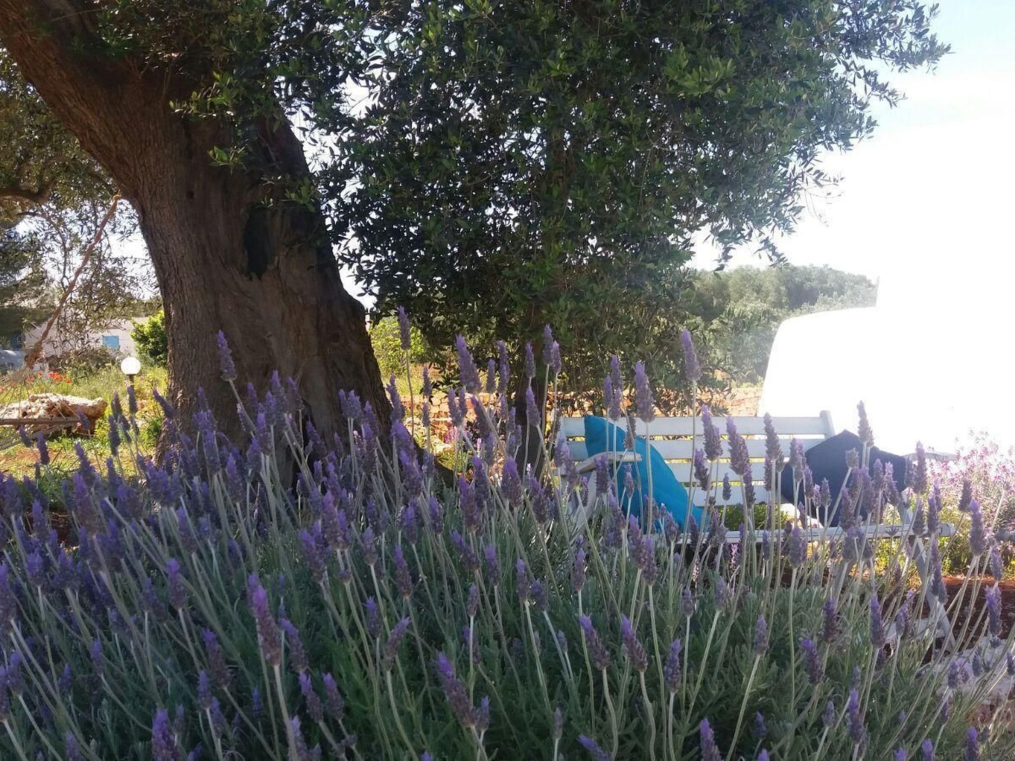 Trullo 'Vallegna' mit privatem Garten und Grill-Inside