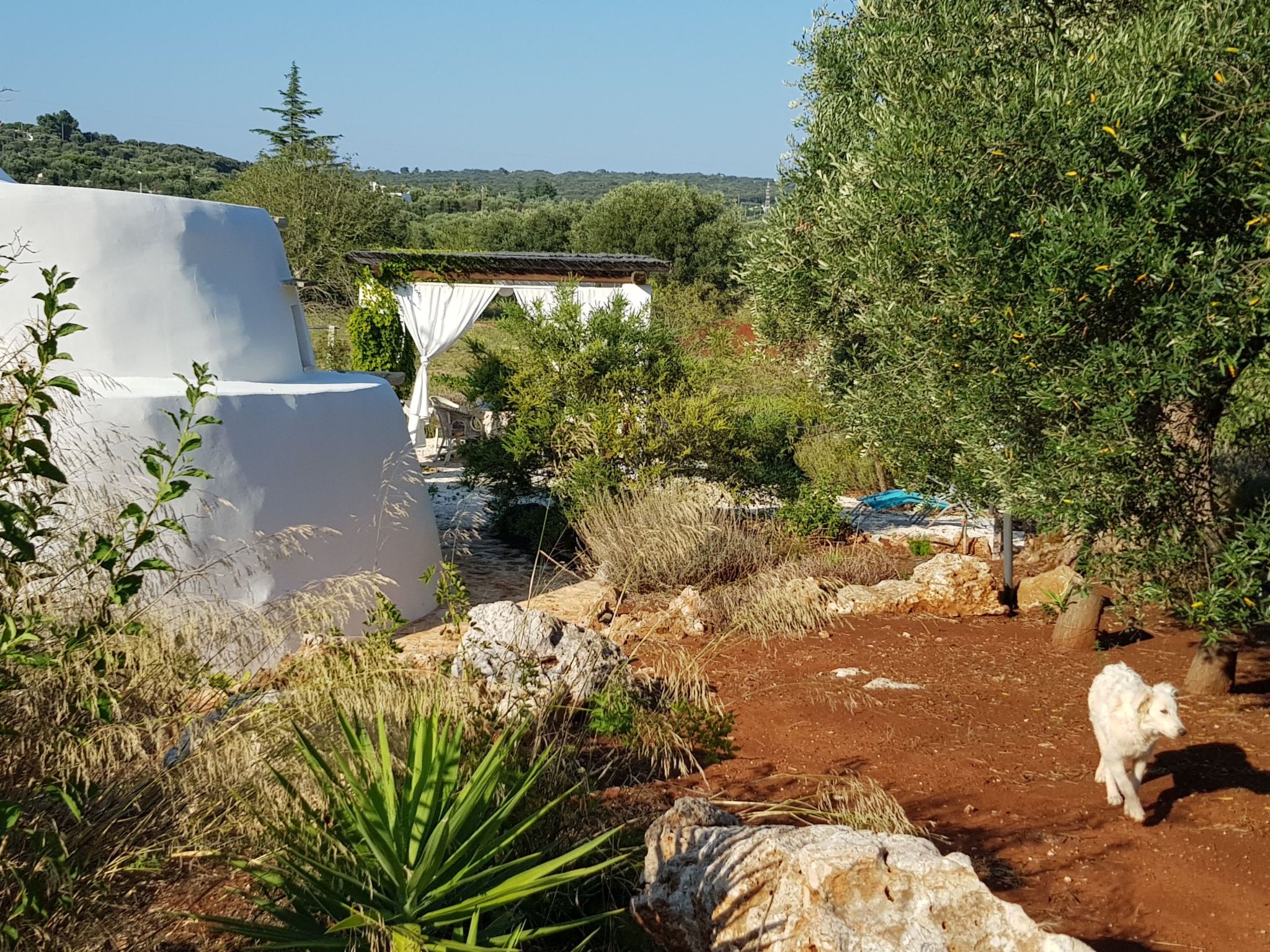 Trullo 'Vallegna' mit privatem Garten und Grill-Inside