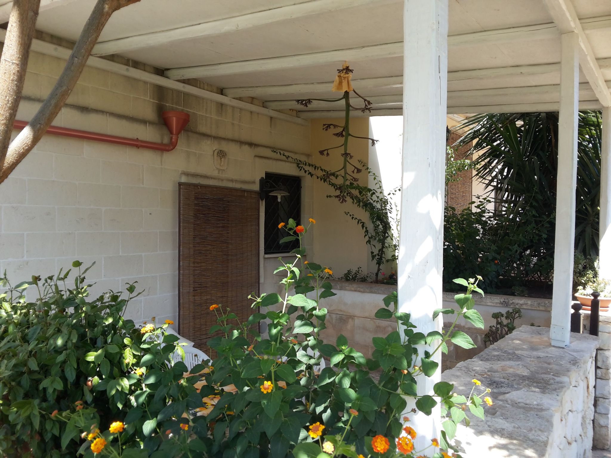 Casal del Borgo 1-Inside